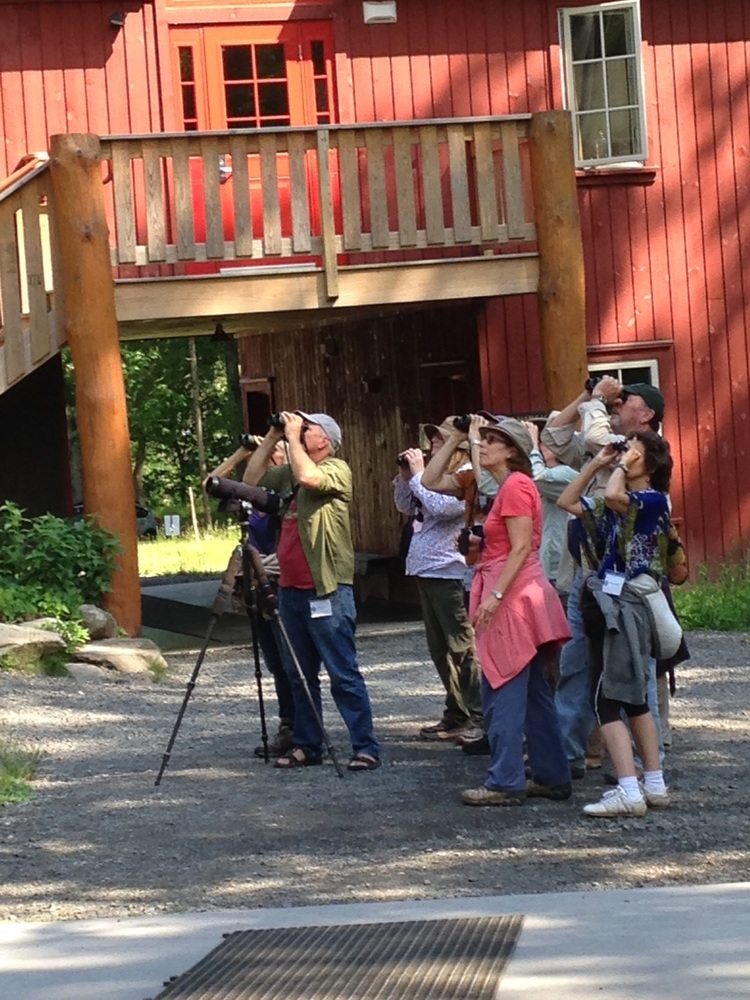 Participants spot a cuckoo at the Ashokan Center during Taking Flight: Birding in the Catskills. 