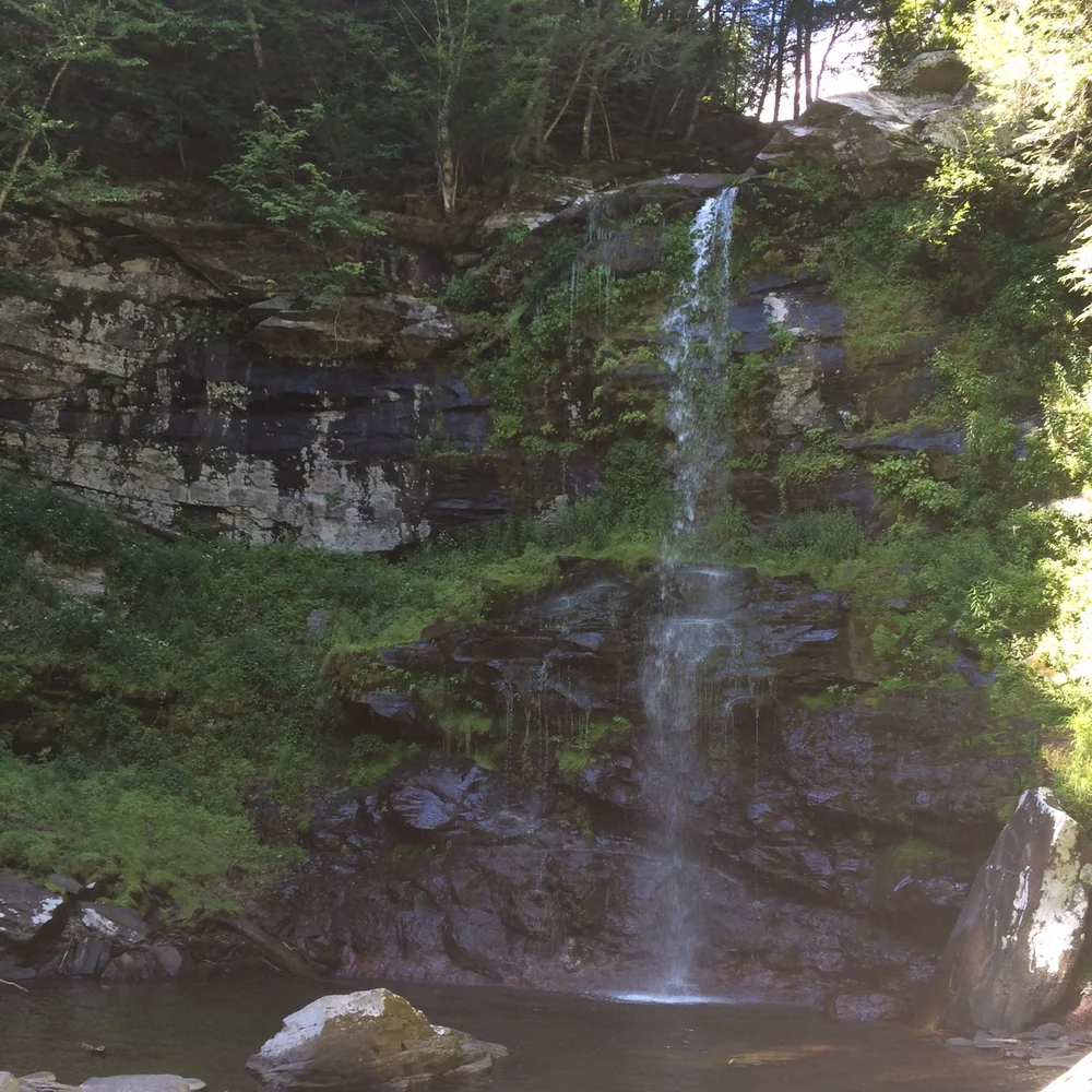 Platte Clove Artist in Residence Program Accepting Applications