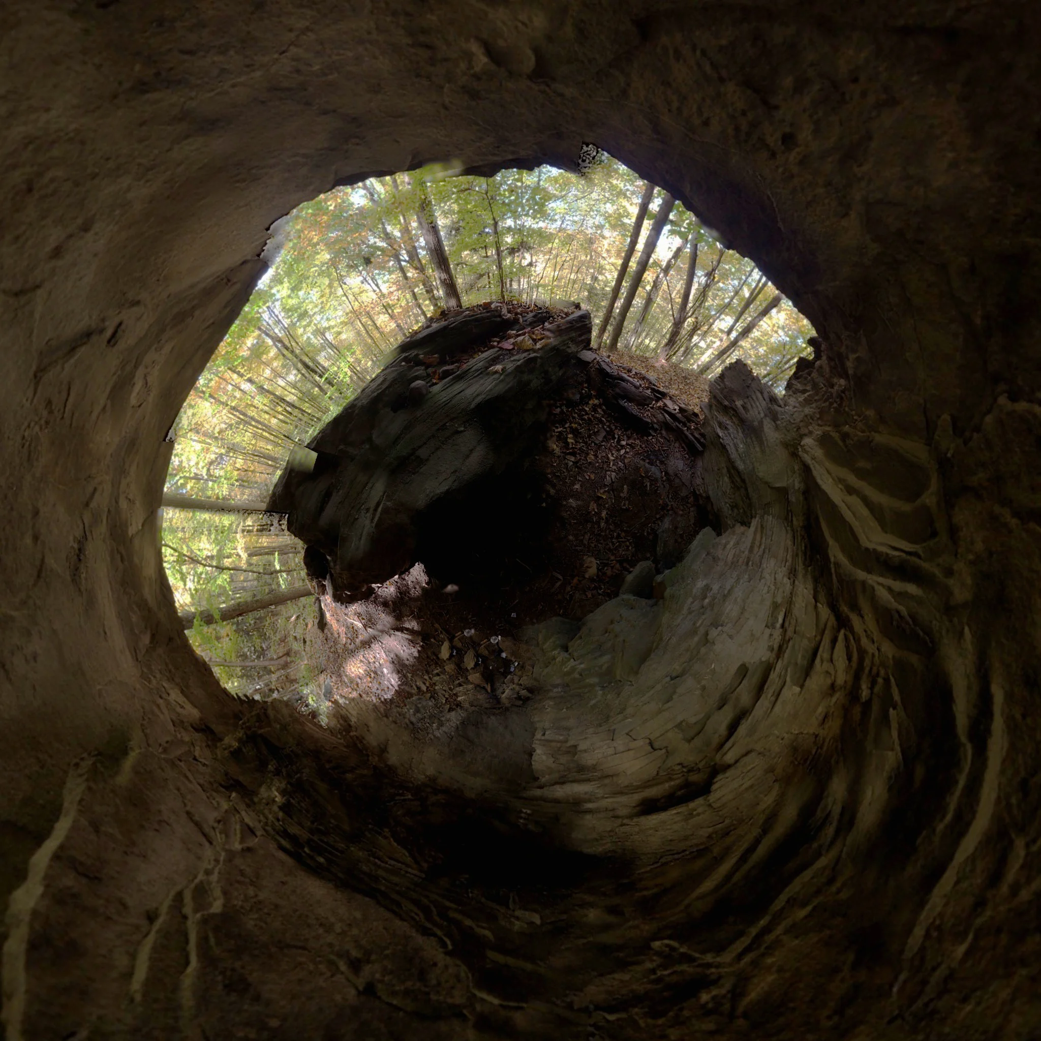 pattekecave2sq.jpg