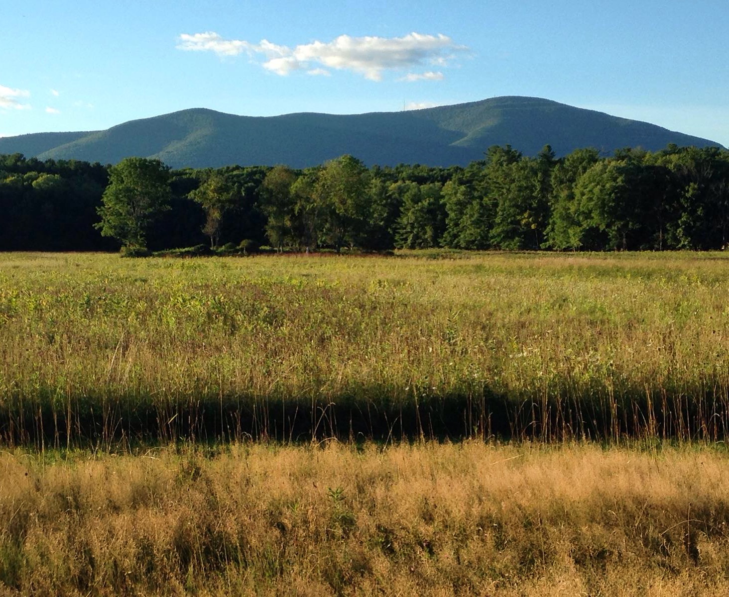 March 21 - Catskill Park History and Facts with the Catskill Center's Executive Director