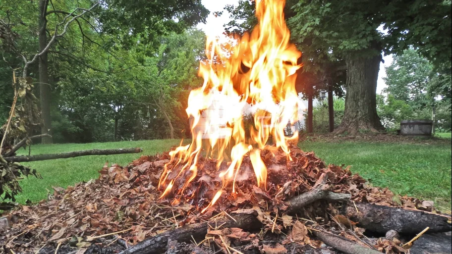 Residential Brush Burning in NYS Prohibited Through May 14
