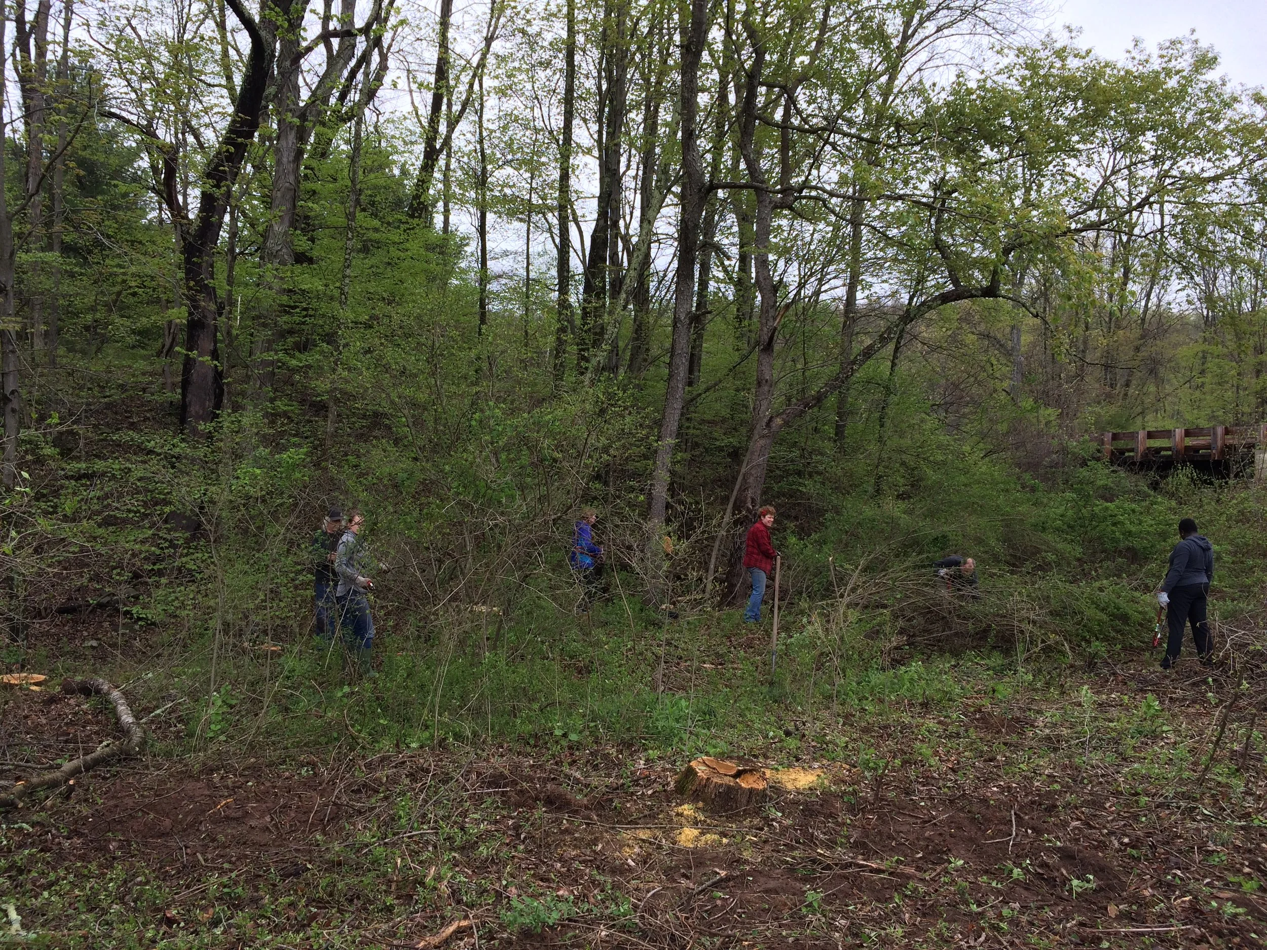 First a little weeding, and then a little dancing! 