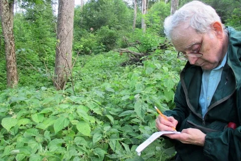 "From Hemlock to Knotweed" - Michael Kudich Presents New Discoveries about the History and Ecology of Hemlock in the Catskills".