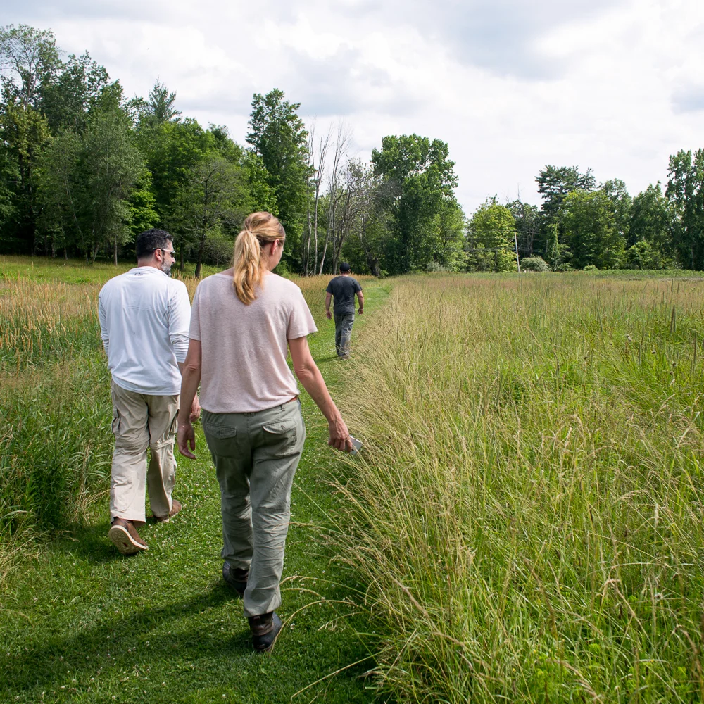 Walk/Hike at Thorn Preserve - Hudson Valley Ramble