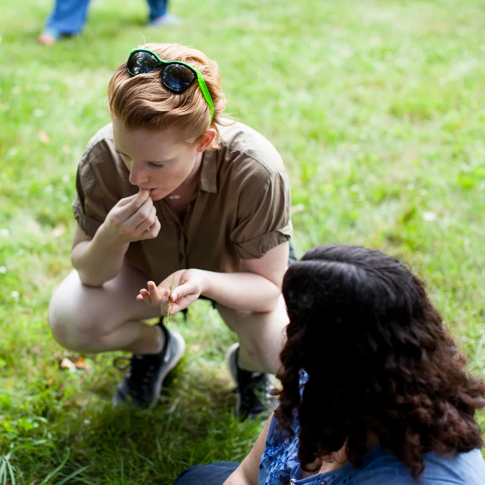 The Catskill Center offers Three Fall Foraging Workshops