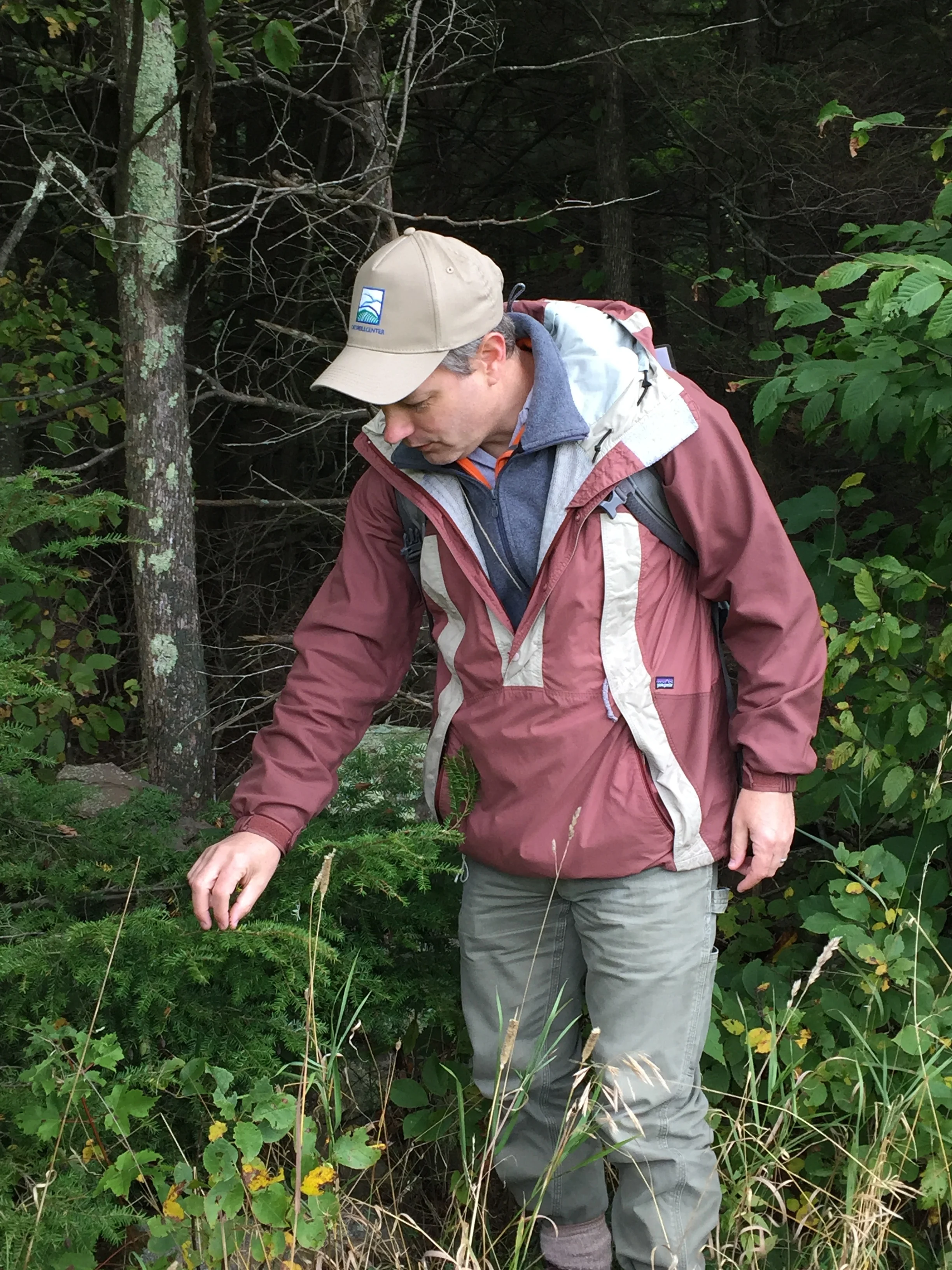 A Windham Path Streamwalk (with scientists)