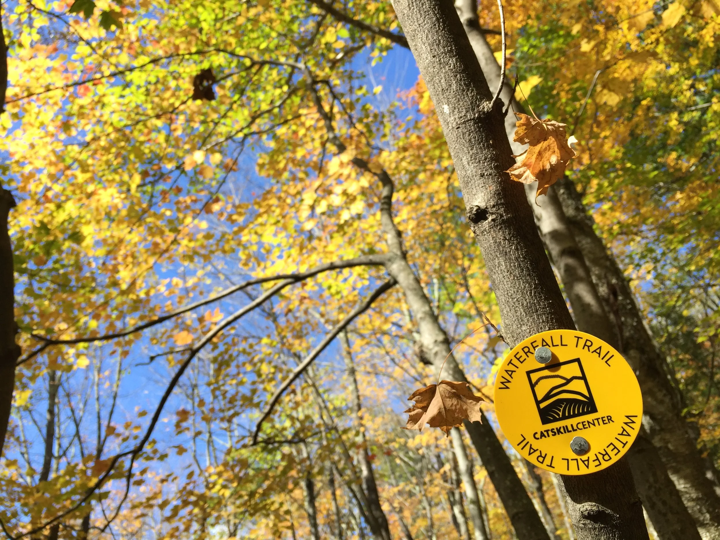 New trail markers for old and new trails at the Platte Clove Preserve