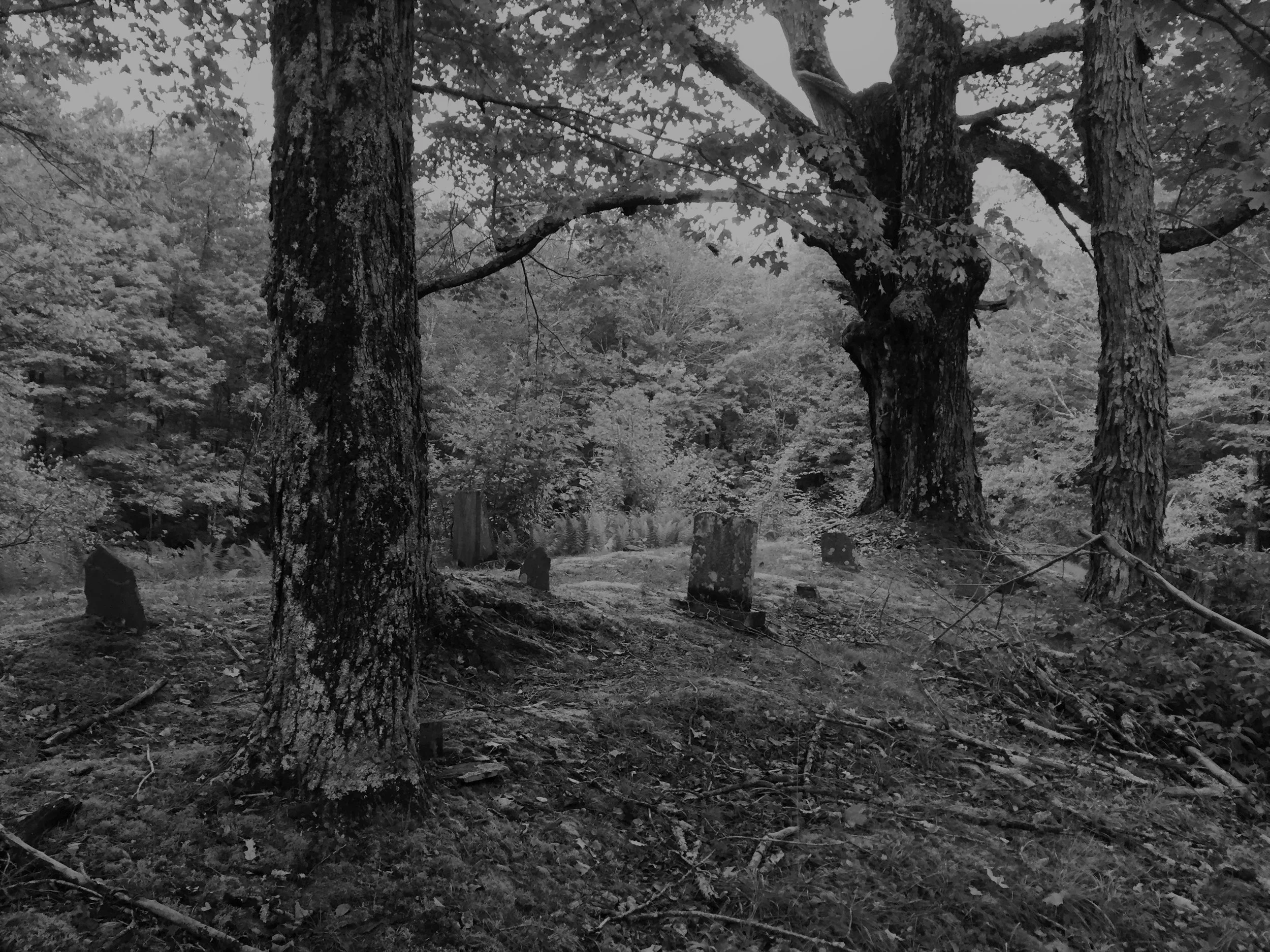 Event Full - Historic Cemeteries of the Catskills and their Ghosts