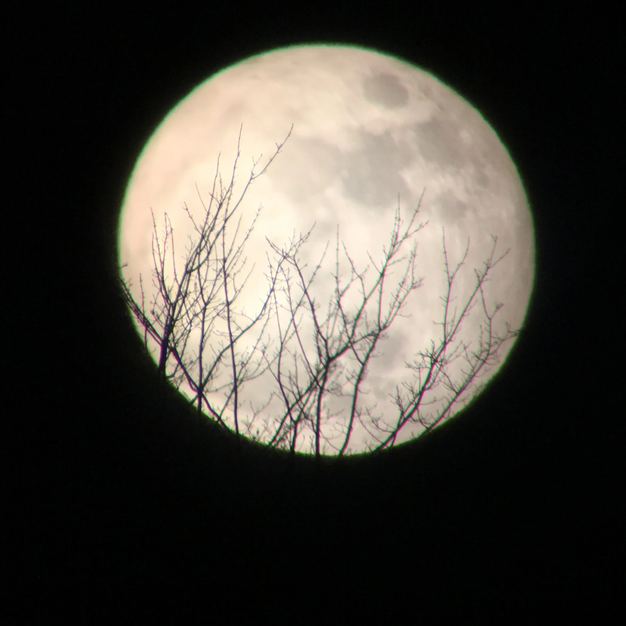 Blue Moon Snow Frolic