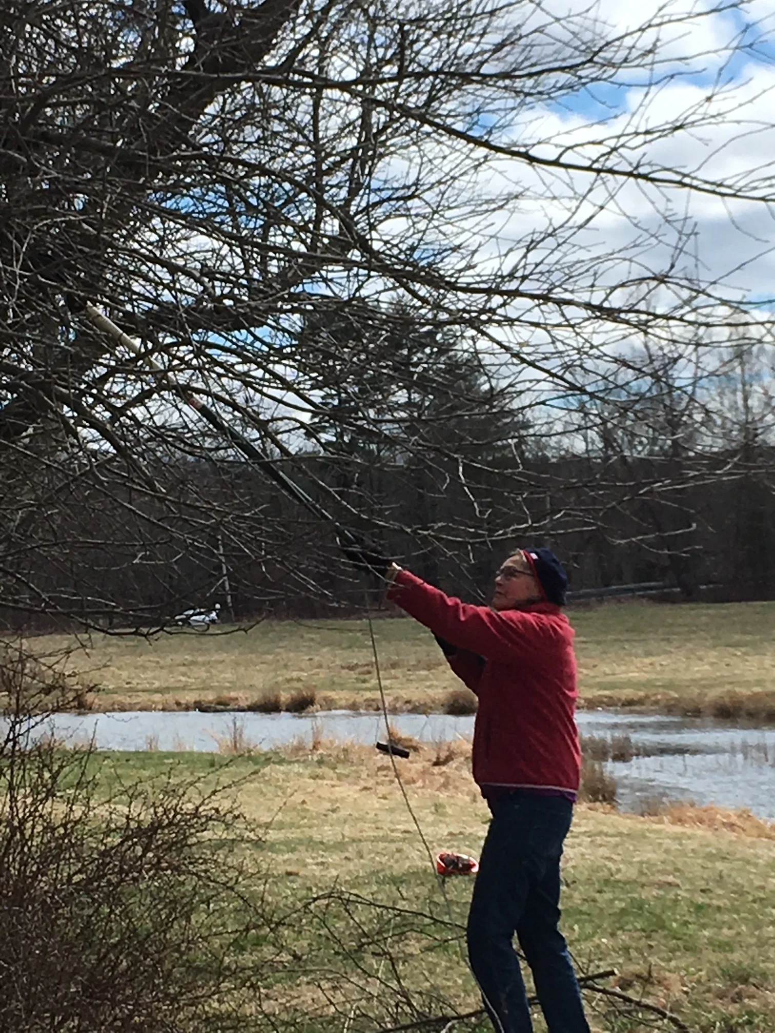 Antique Apple Tree Restoration / with Abandoned Hard Cider at Thorn Preserve