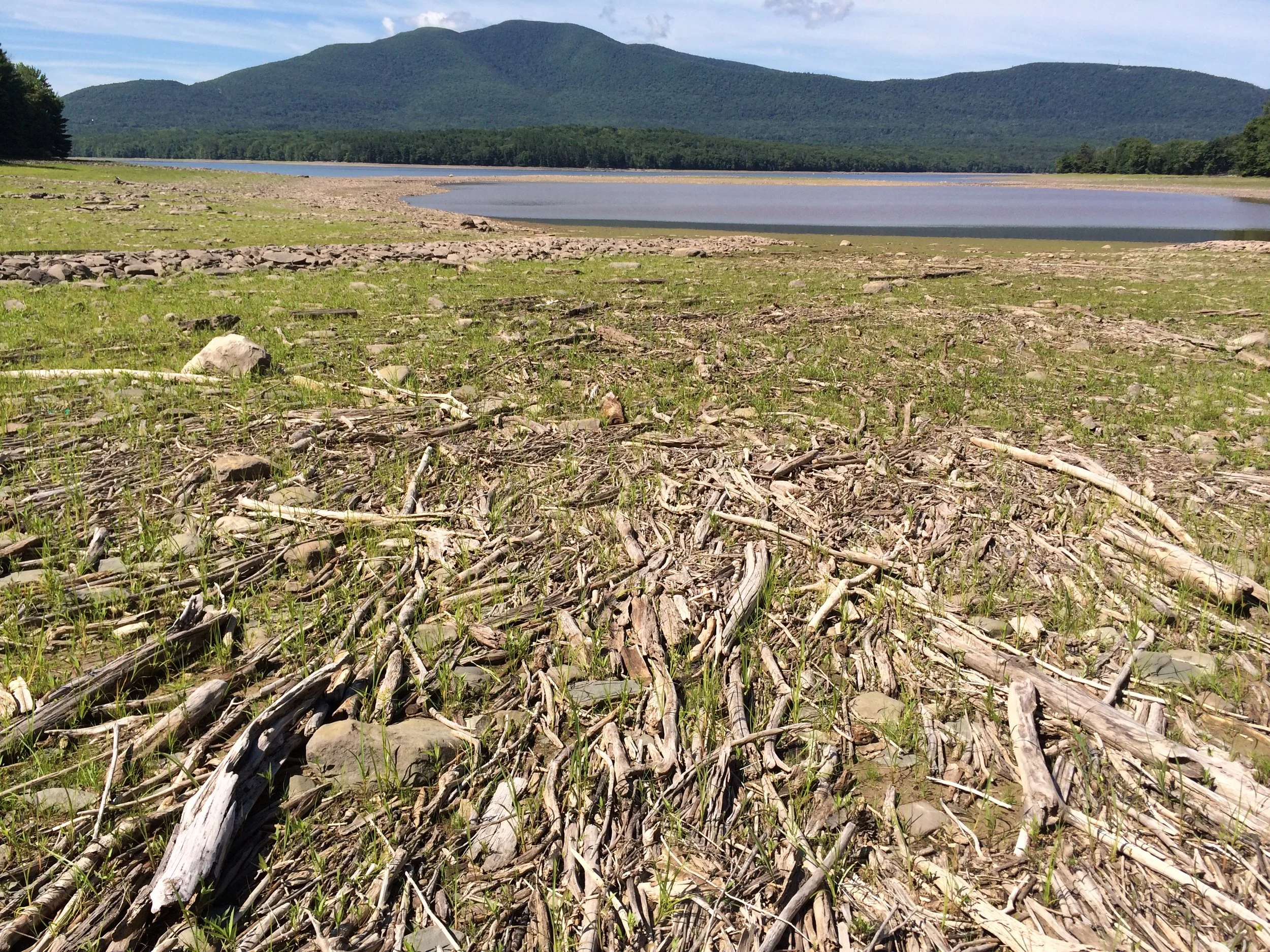 Reception + Artist’s talk with Lize Mogel