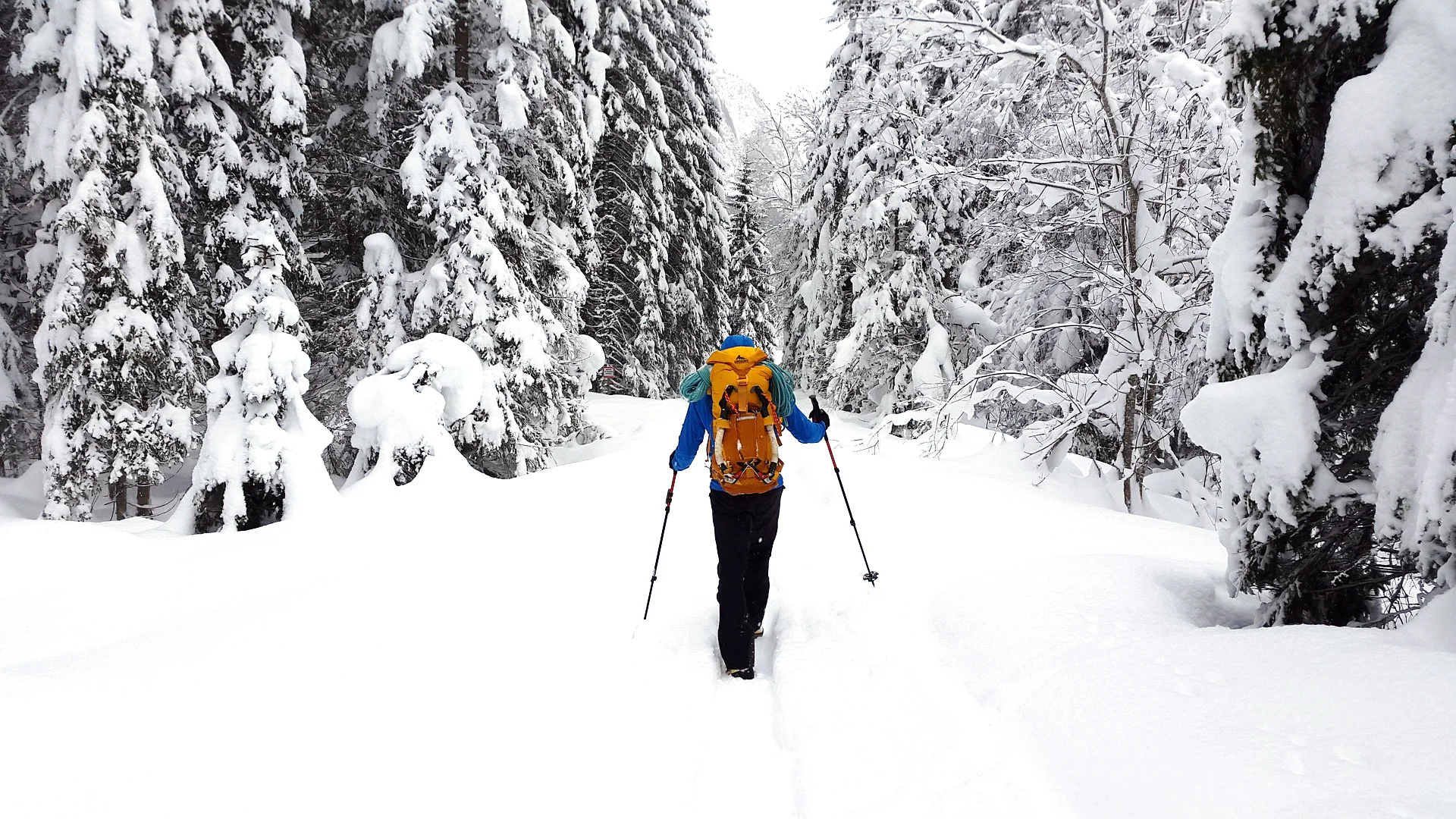 hiking-3032714_1920.jpg