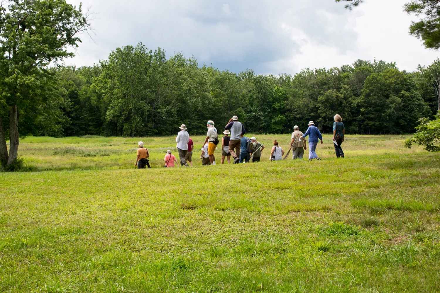 BioBlitz2017-20.jpg