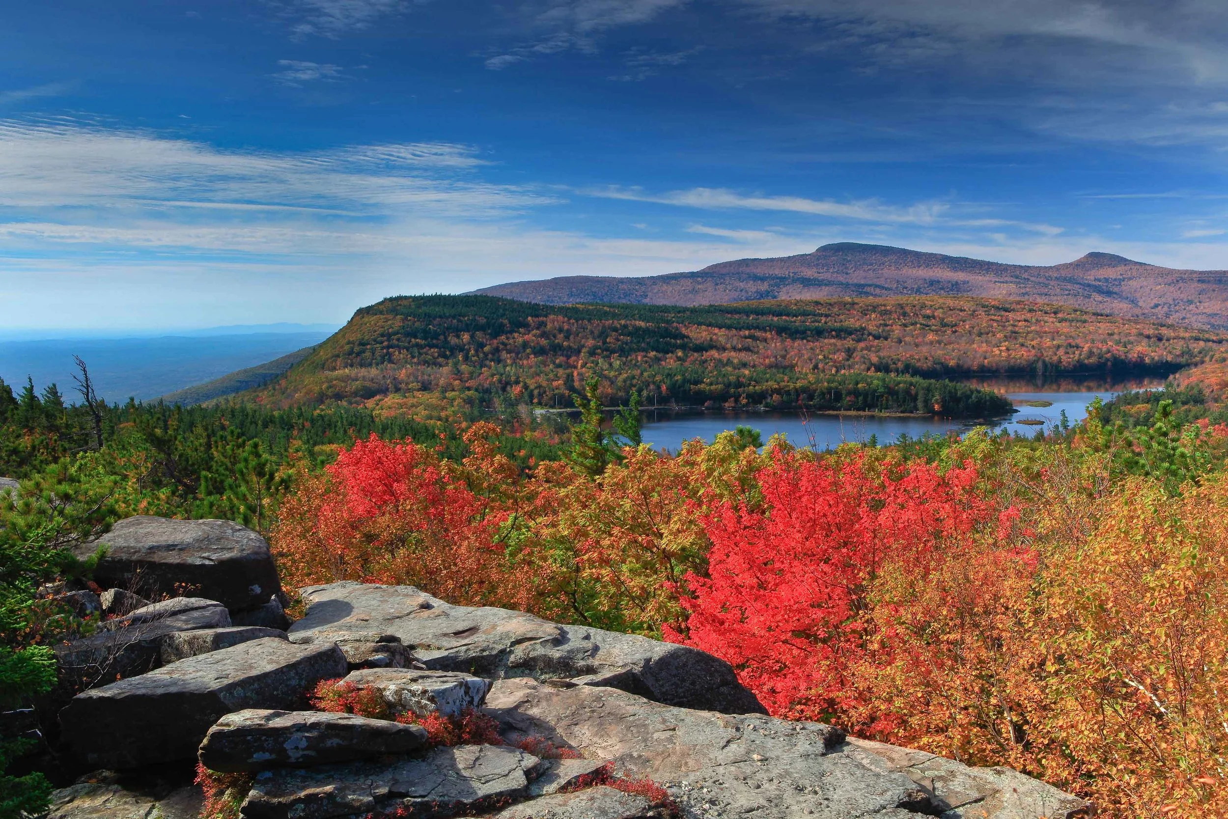 Driscoll - Sunset Rock 2011-4.jpg