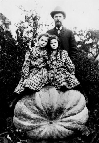 giantpumpkin.jpg