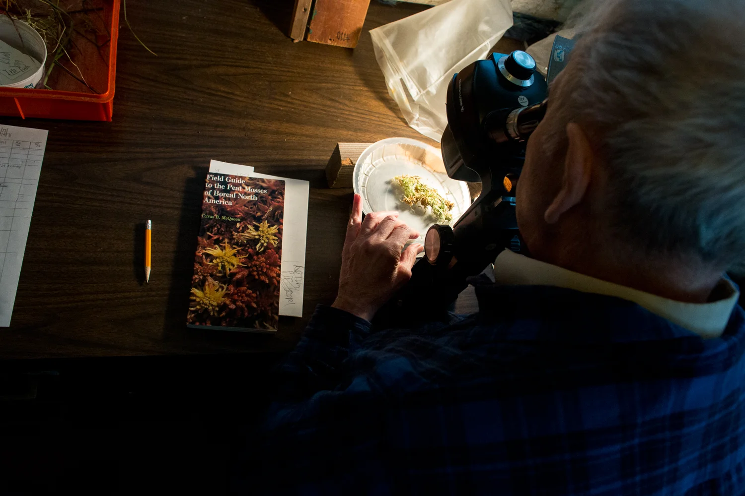 photos: Heather Phelps-Lipton