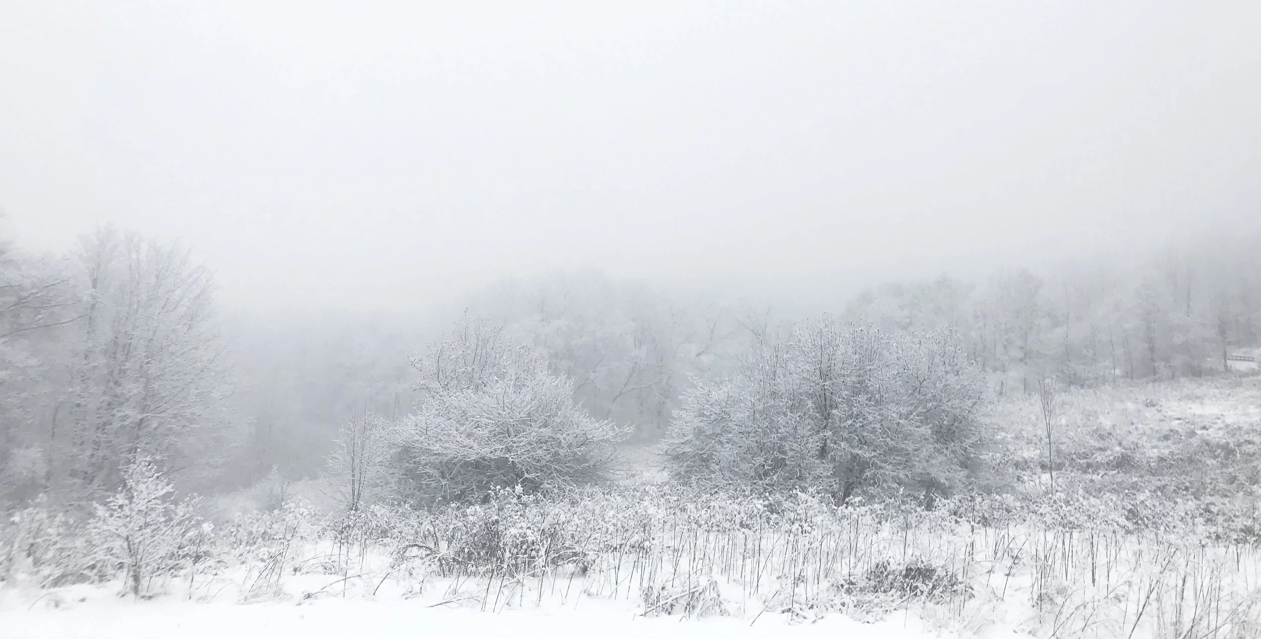First Night Hike — a chat with Olivia Bernard