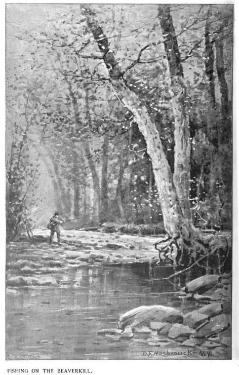 The (Fine) Art of Fishing