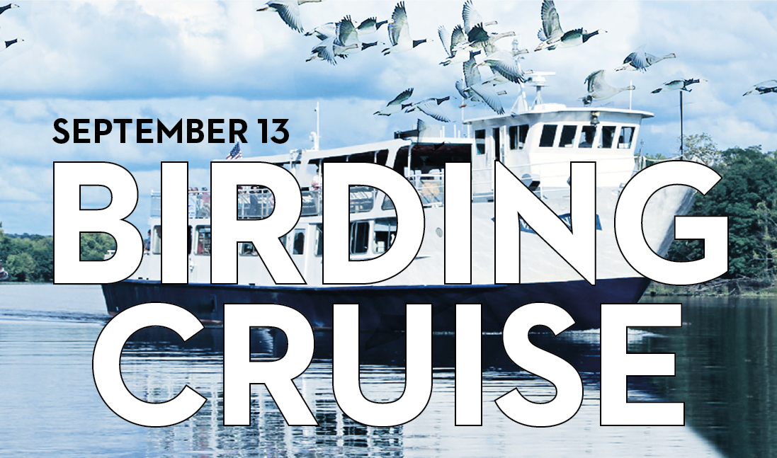 TakingFlight_NYSOA_2019_BirdingCruise.jpg