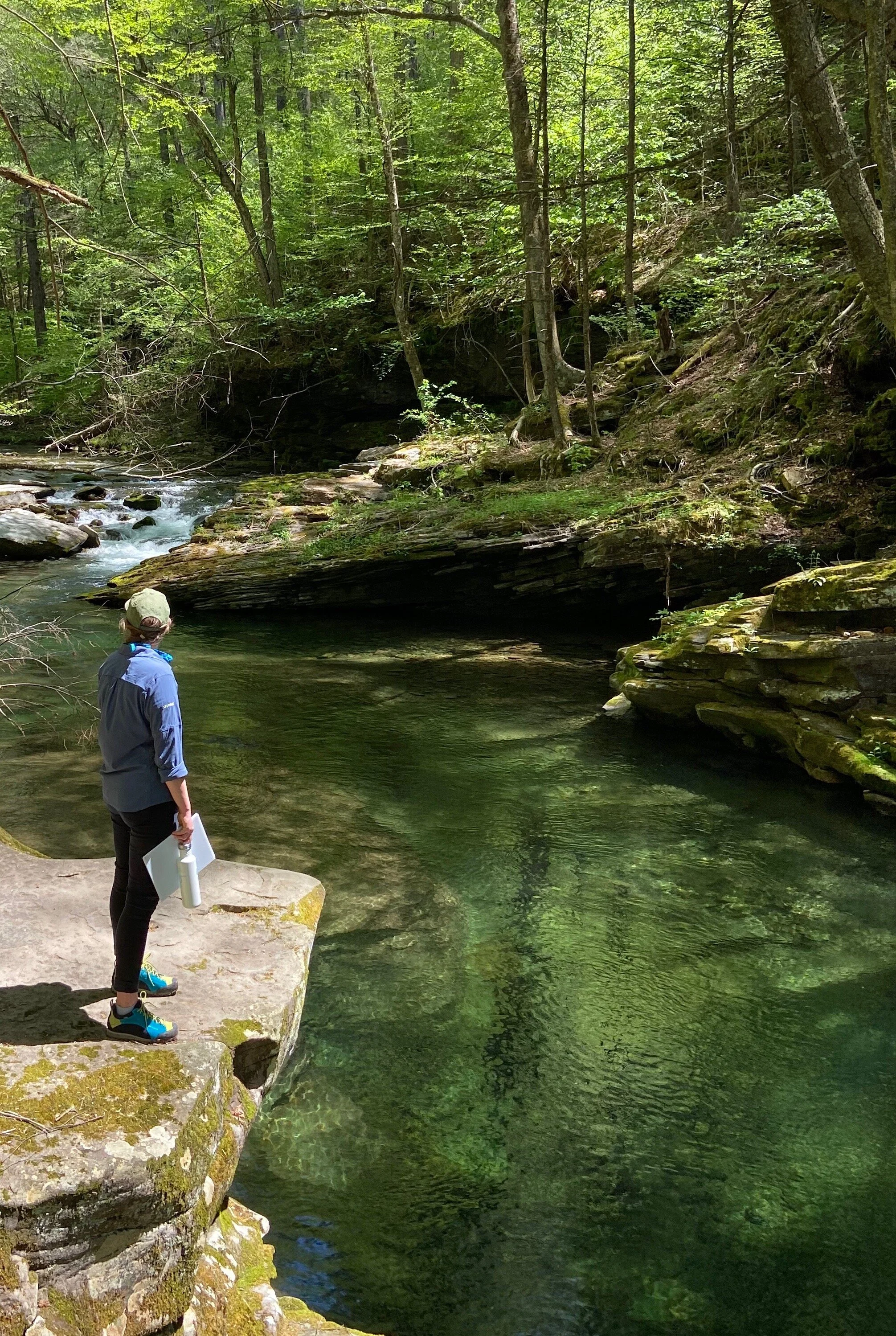 Stewardship in the time of COVID-19