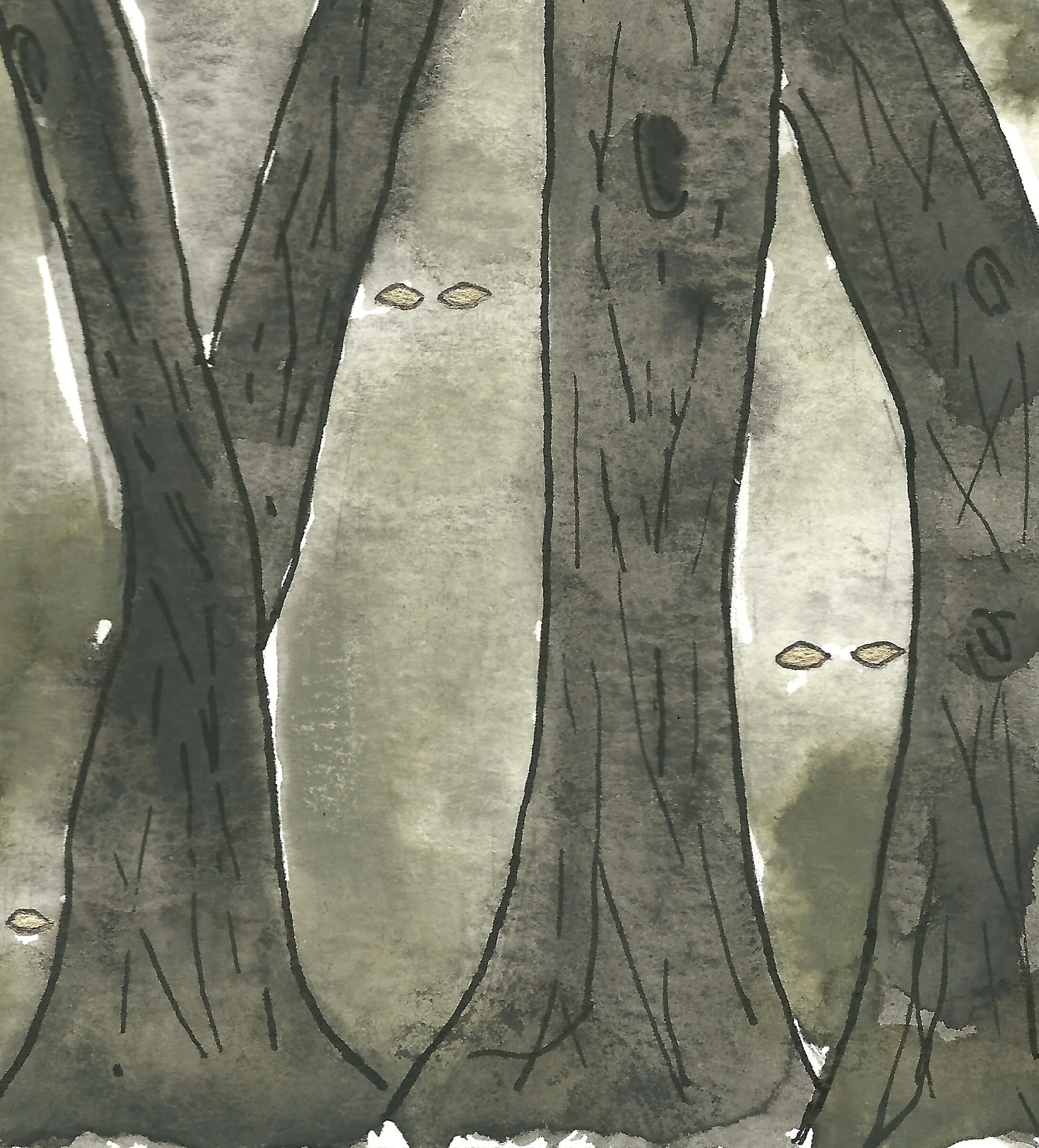 Catskill Cryptozoology