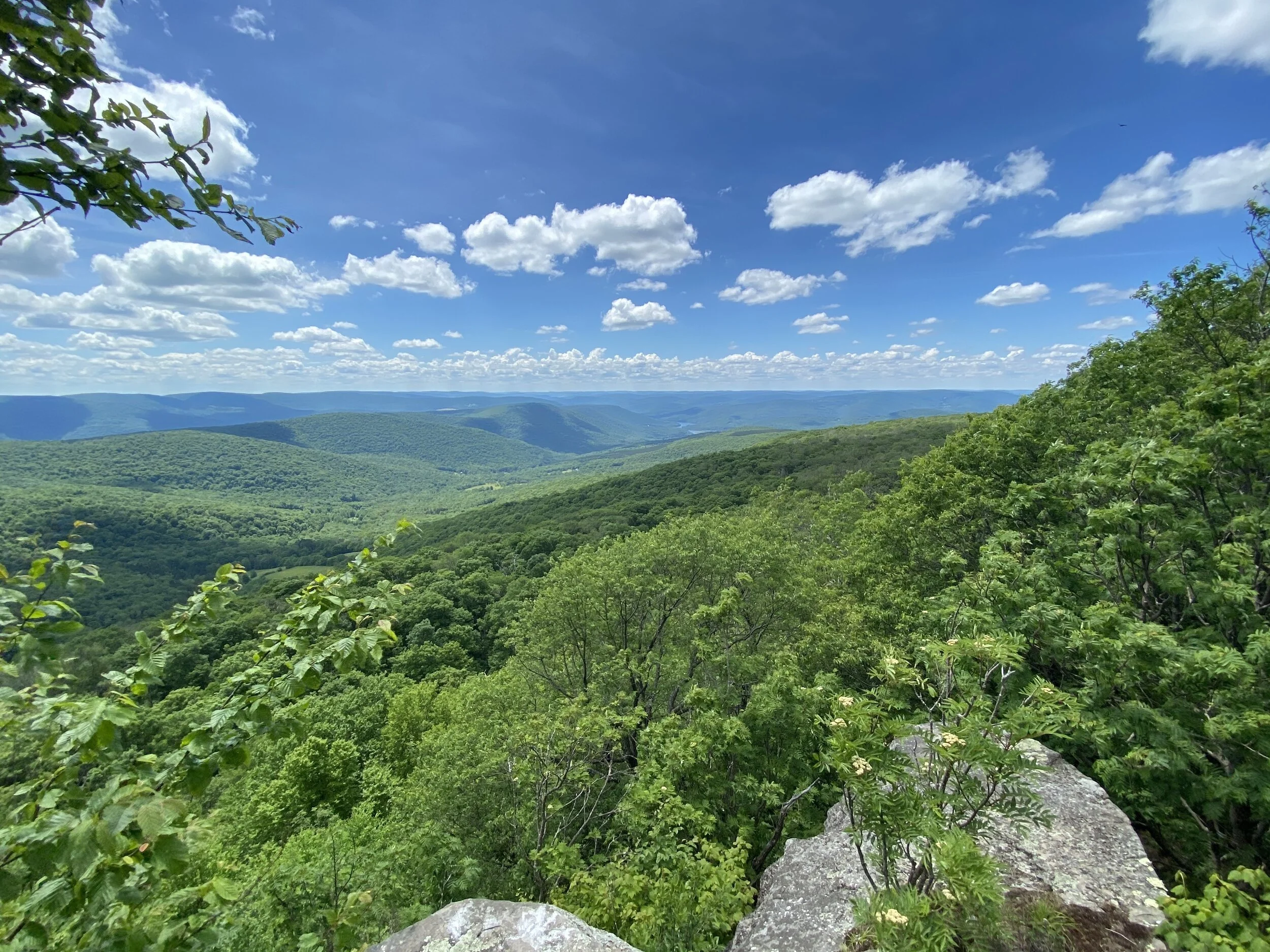 Finding Solitude in the Catskill Park