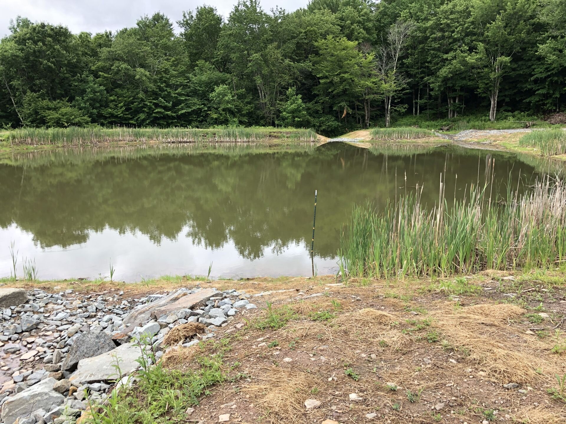 DEP REOPENS SHAVERTOWN HIKING TRAIL NEAR PEPACTON RESERVOIR  &nbsp;