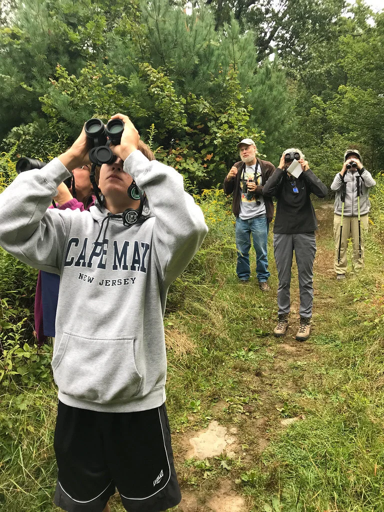 Birding in New York: A Conversation and Q&amp;A