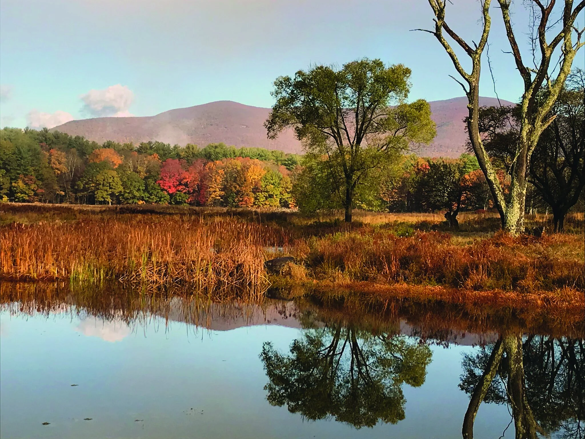 Help Us Pass the Environmental Bond Act Today! 