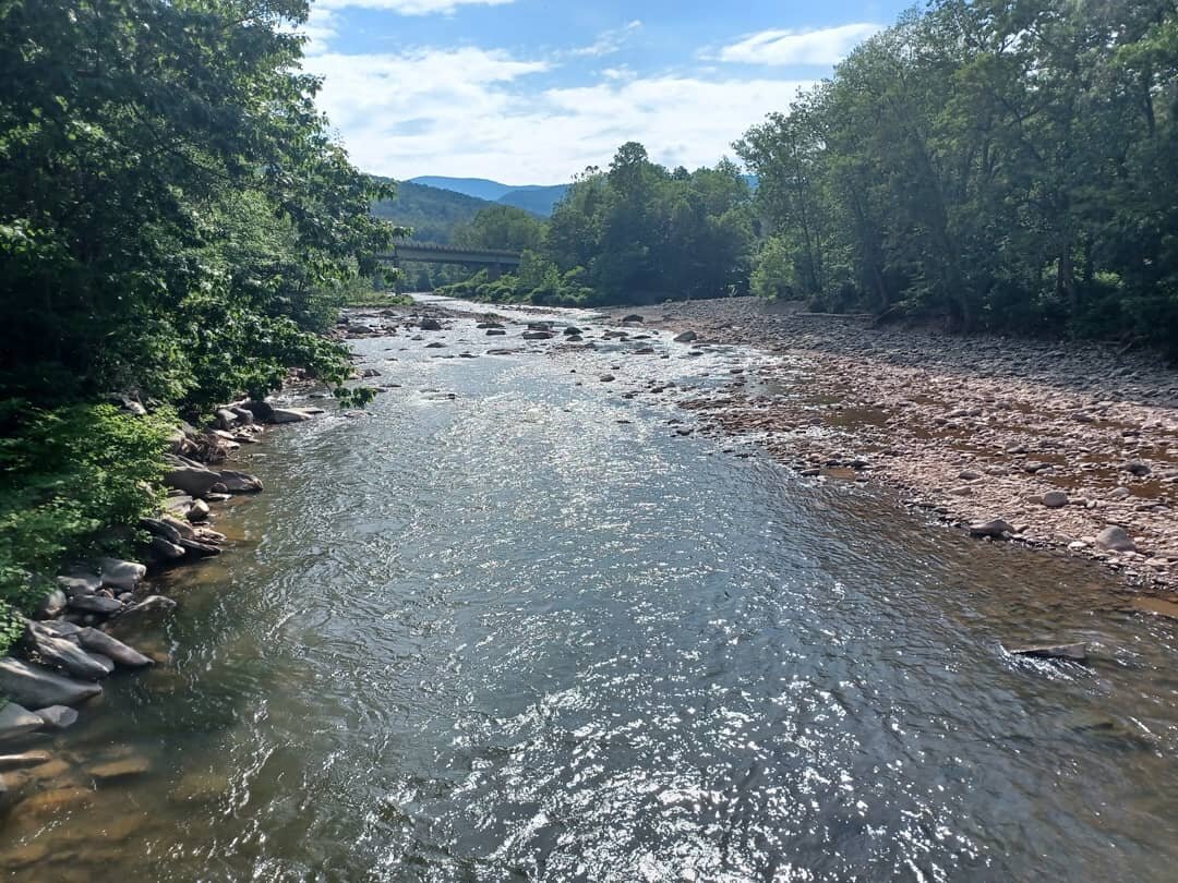 Hike for the Catskills — Catskill Center 