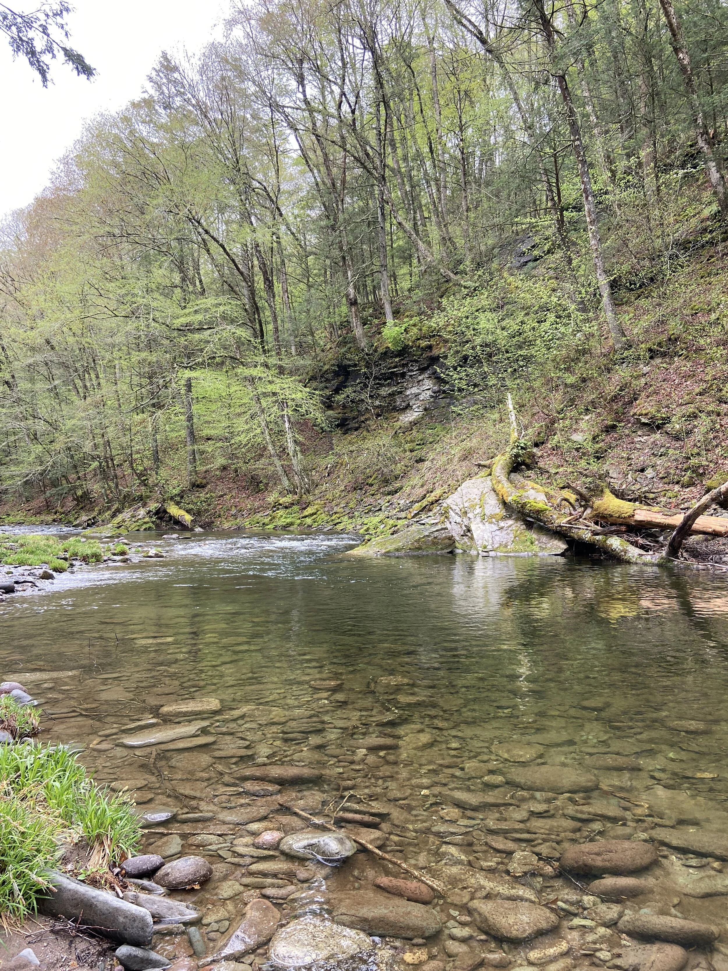 Catskill Center Calls On NYC DEP To Rethink Its Land Acquisition Programs To Better Focus On Water Quality