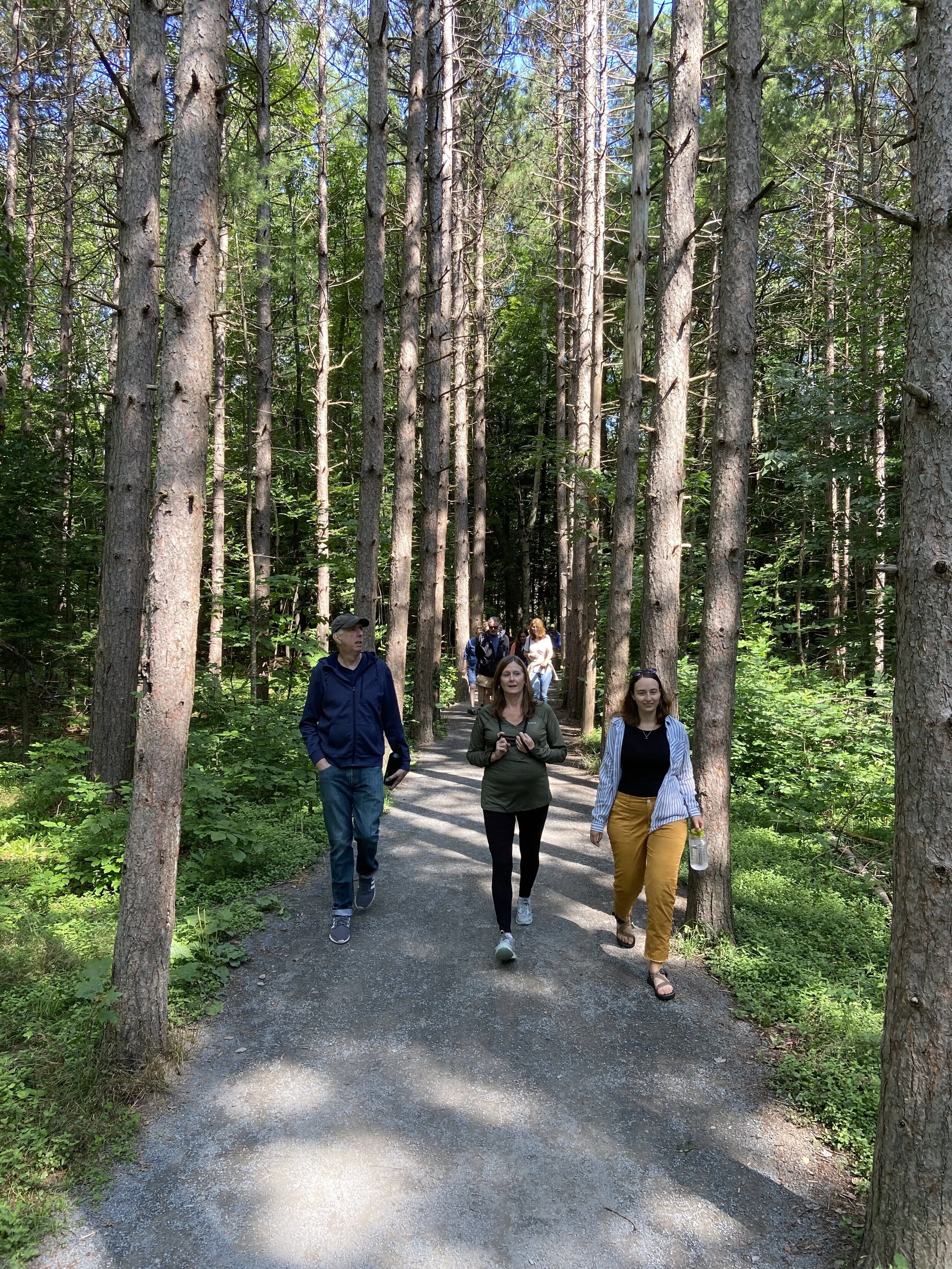 Catskill Center Welcomes Three New Staff Members