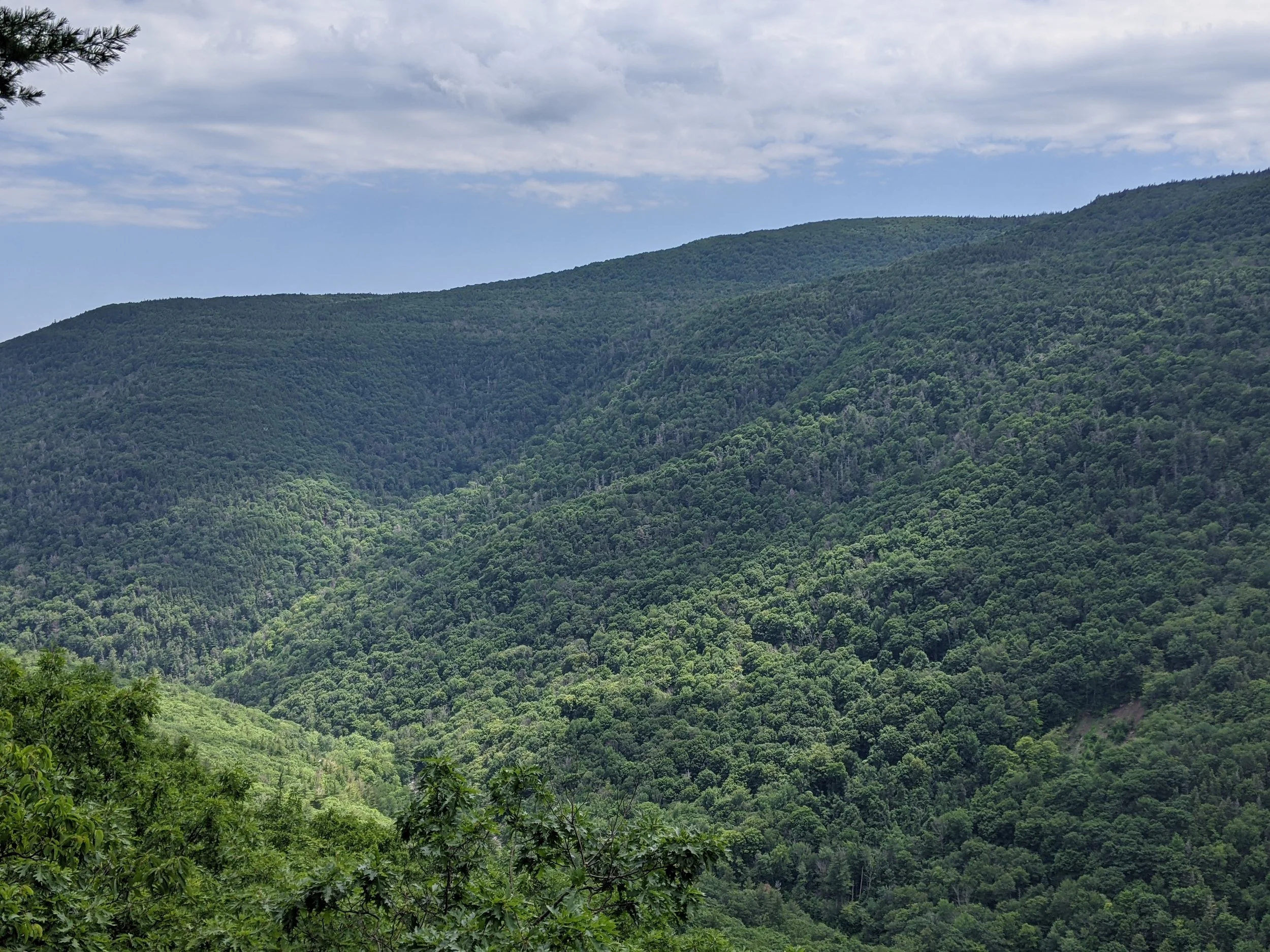 Nonprofit Groups Commend State-of-the-State Focus on Adirondack, Catskill Park Protection&nbsp;