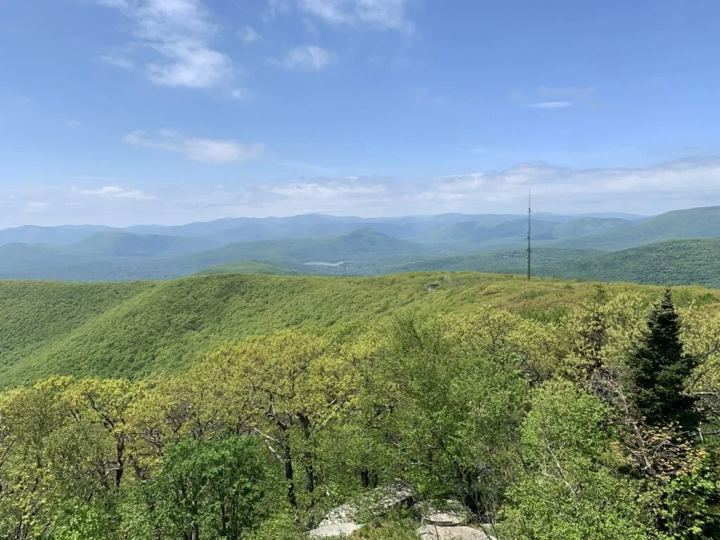 Catskill and Adirondack Groups Applaud State Budget Funding for State Land Stewardship 