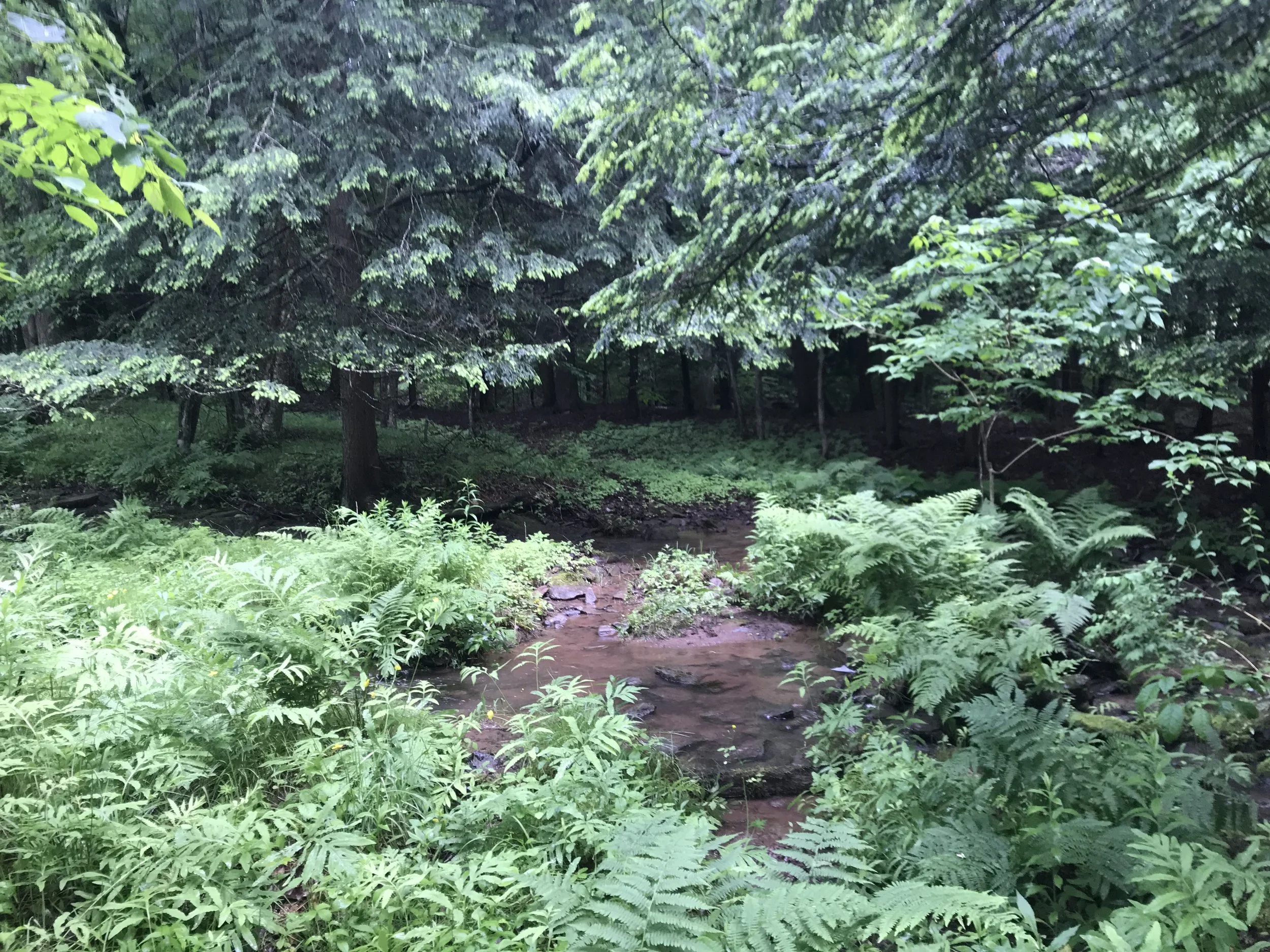 Catskill Center Submits Two Comment Letters