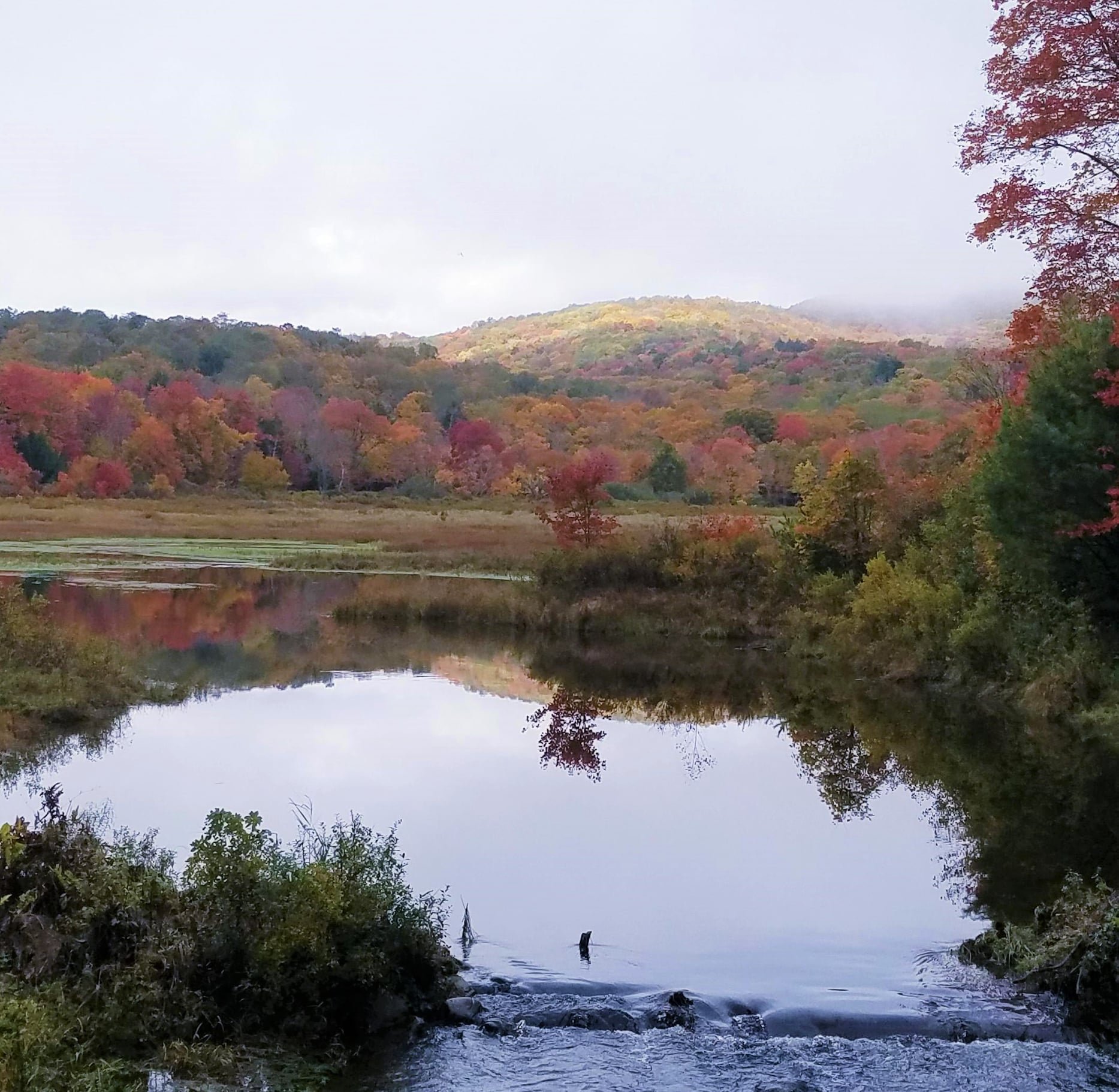 Explore the Catskill Park During Lark in the Park