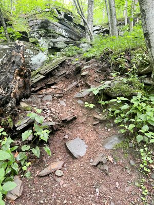 To Safeguard High Peaks, the Catskill Center Calls for Marked Trails