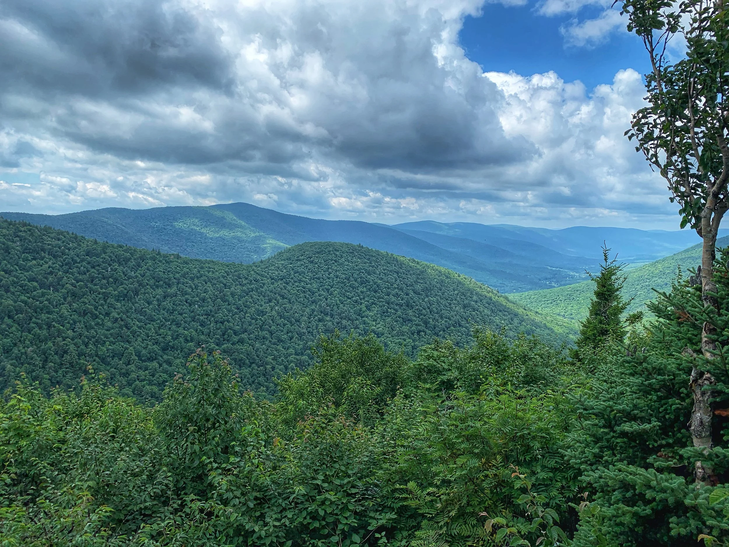 Catskill Center Issues Statements on Recommended Long-Term Catskill Park Management