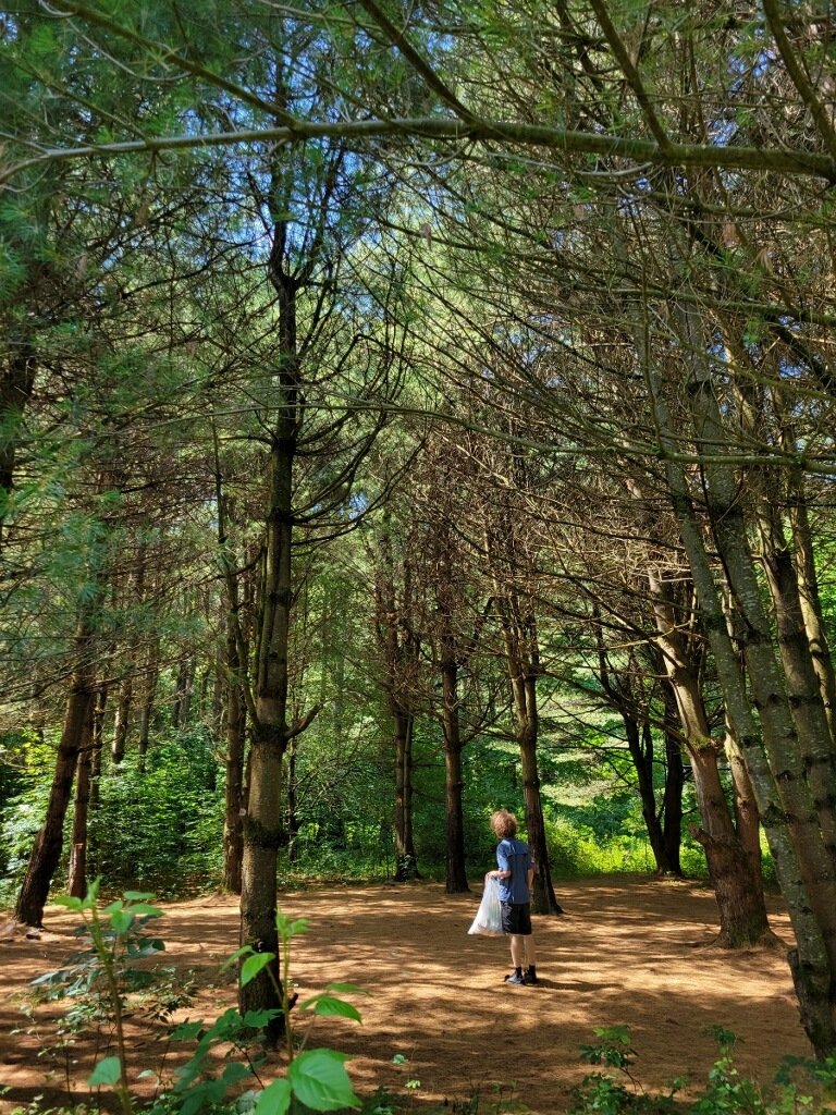 Catskill Stewards Interacted With Tens of Thousands of Catskill Park Visitors Last Year  