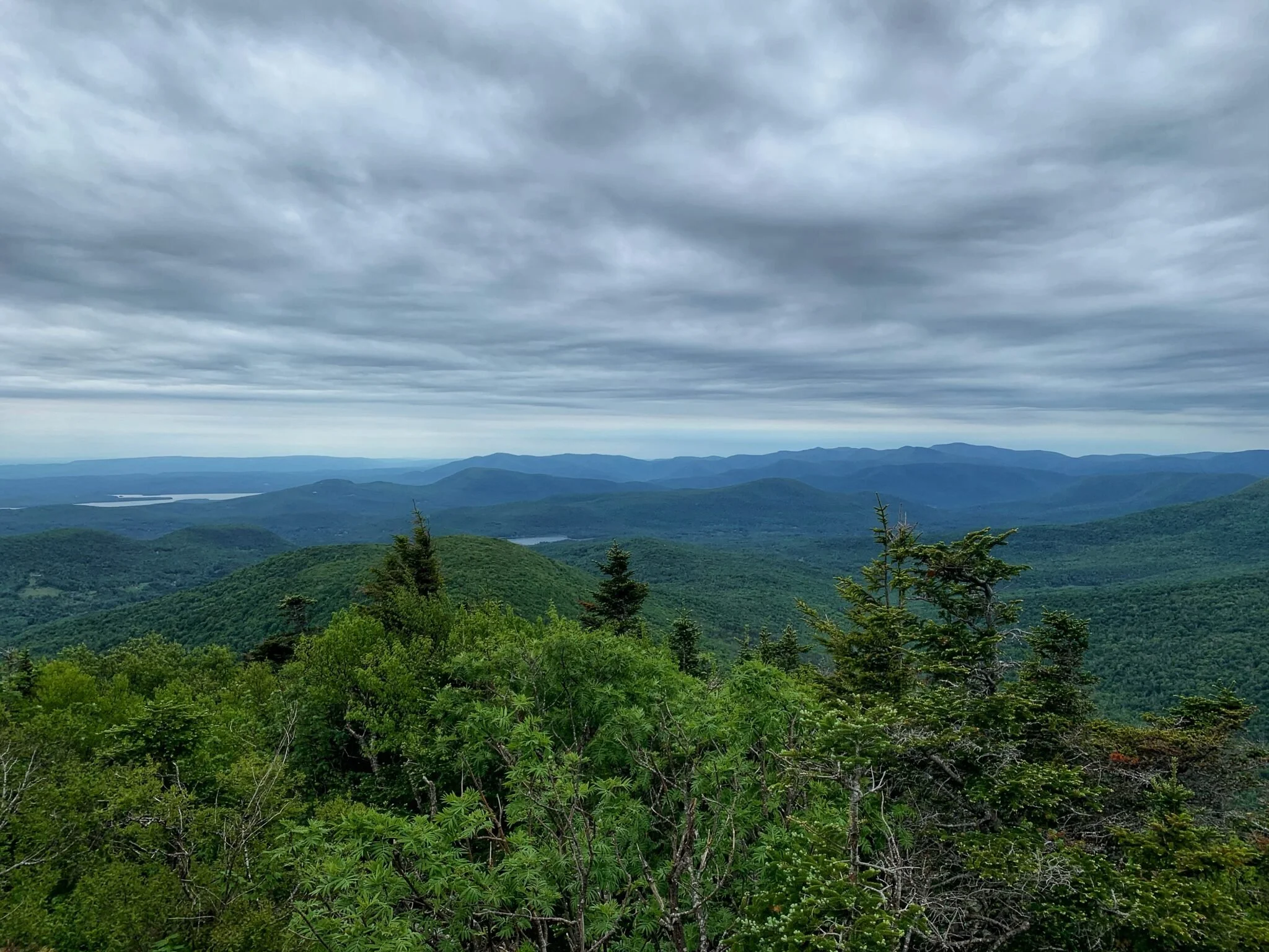 Forest Preserve Group Calls for State Support