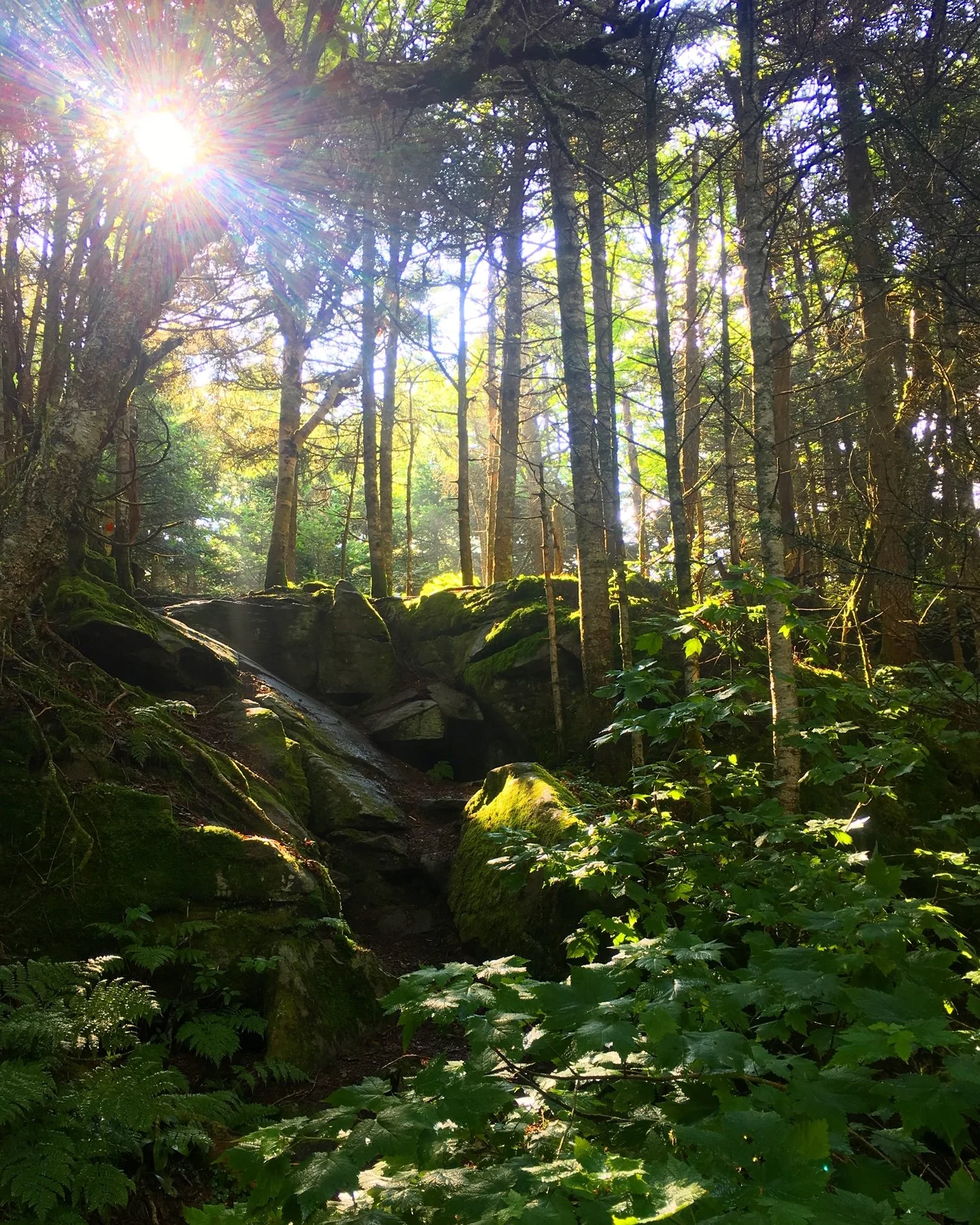 Catskill Center Lauds NYS Budget Wins for the Catskills