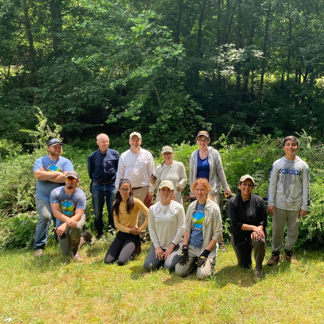 Catskills Invasive Species Intern & Early Career Networking Event