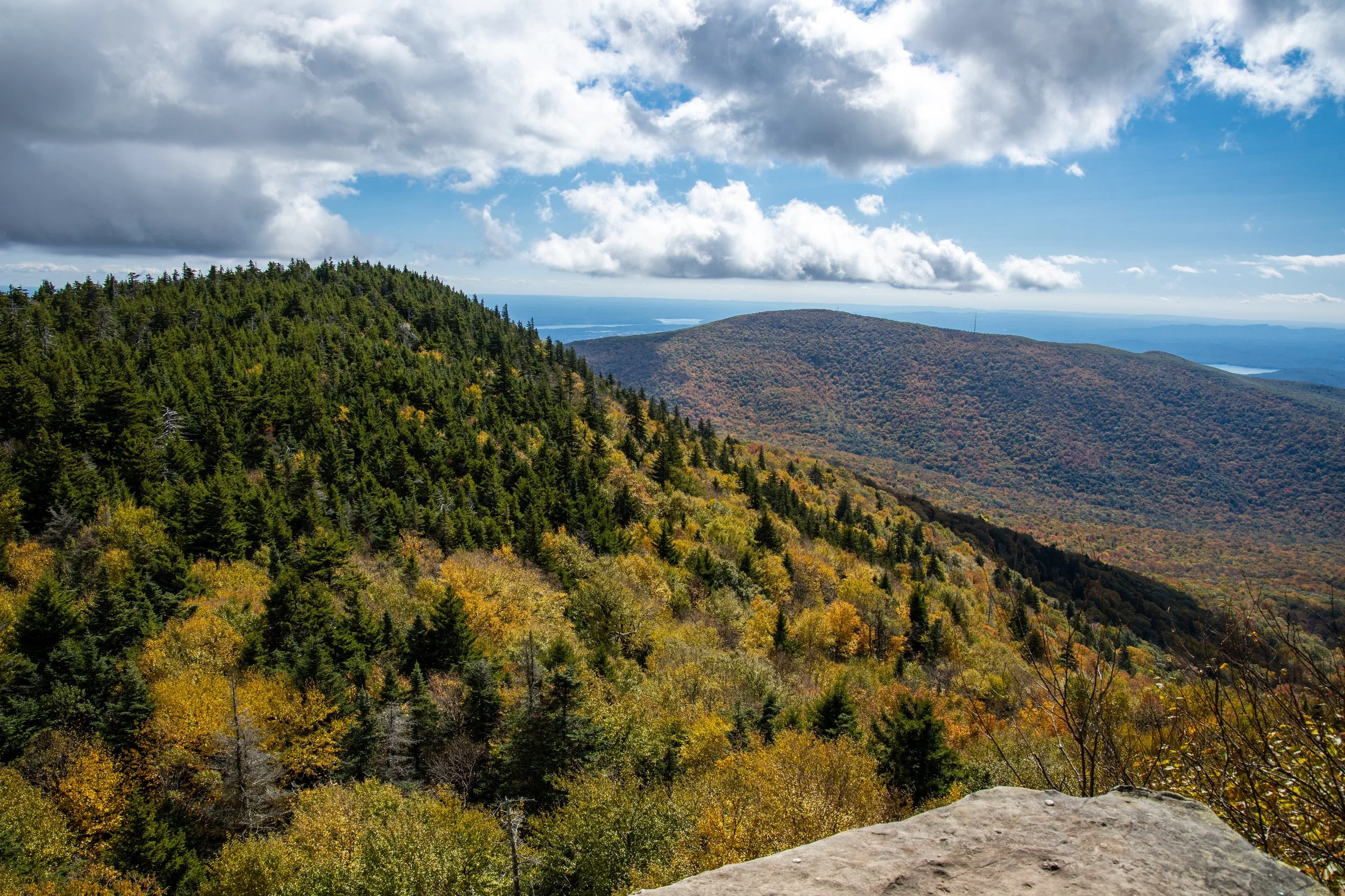 Why Advocacy for Forest Preserve Funding Matters