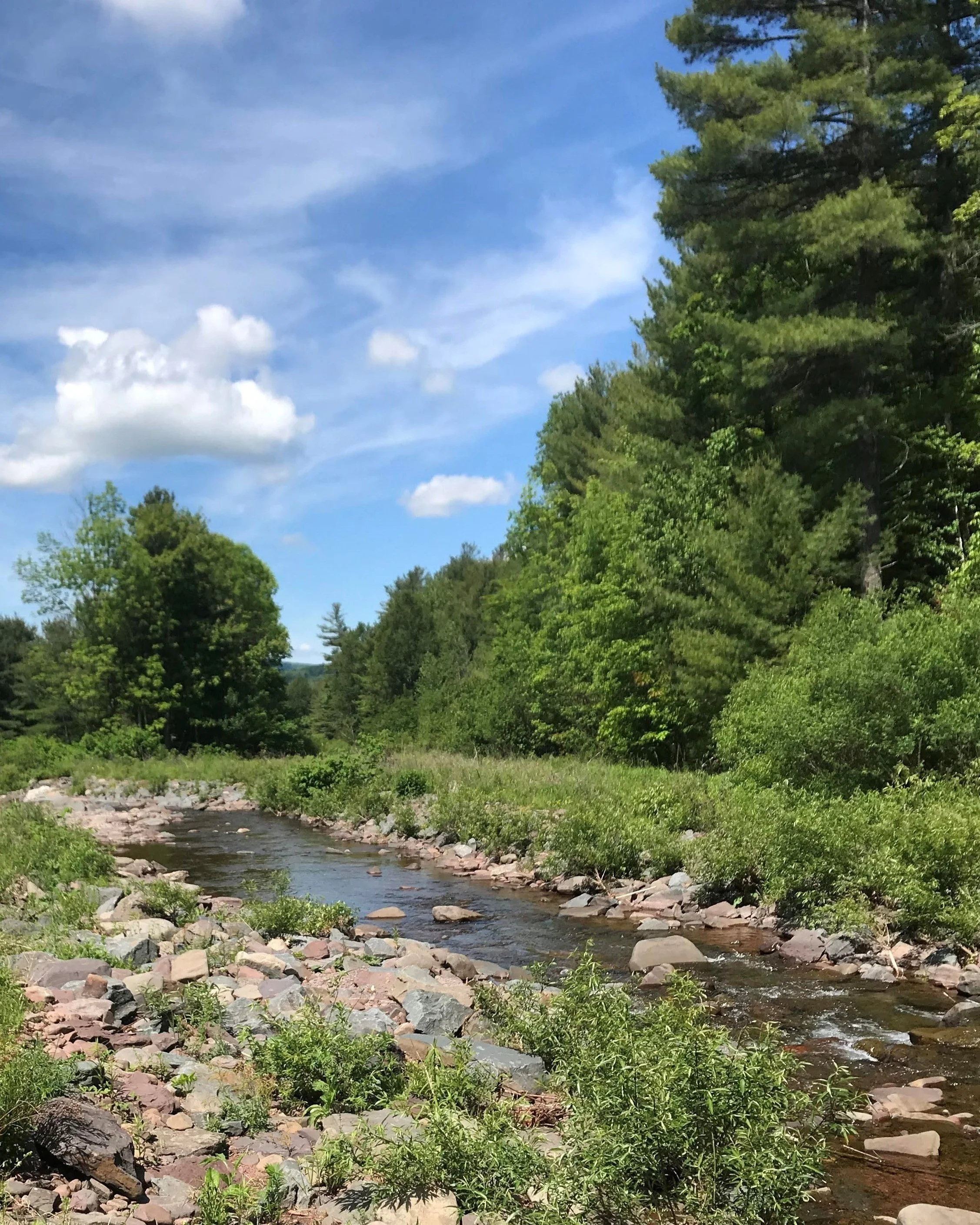 Streamside Acquisition Program Helps Local Communities