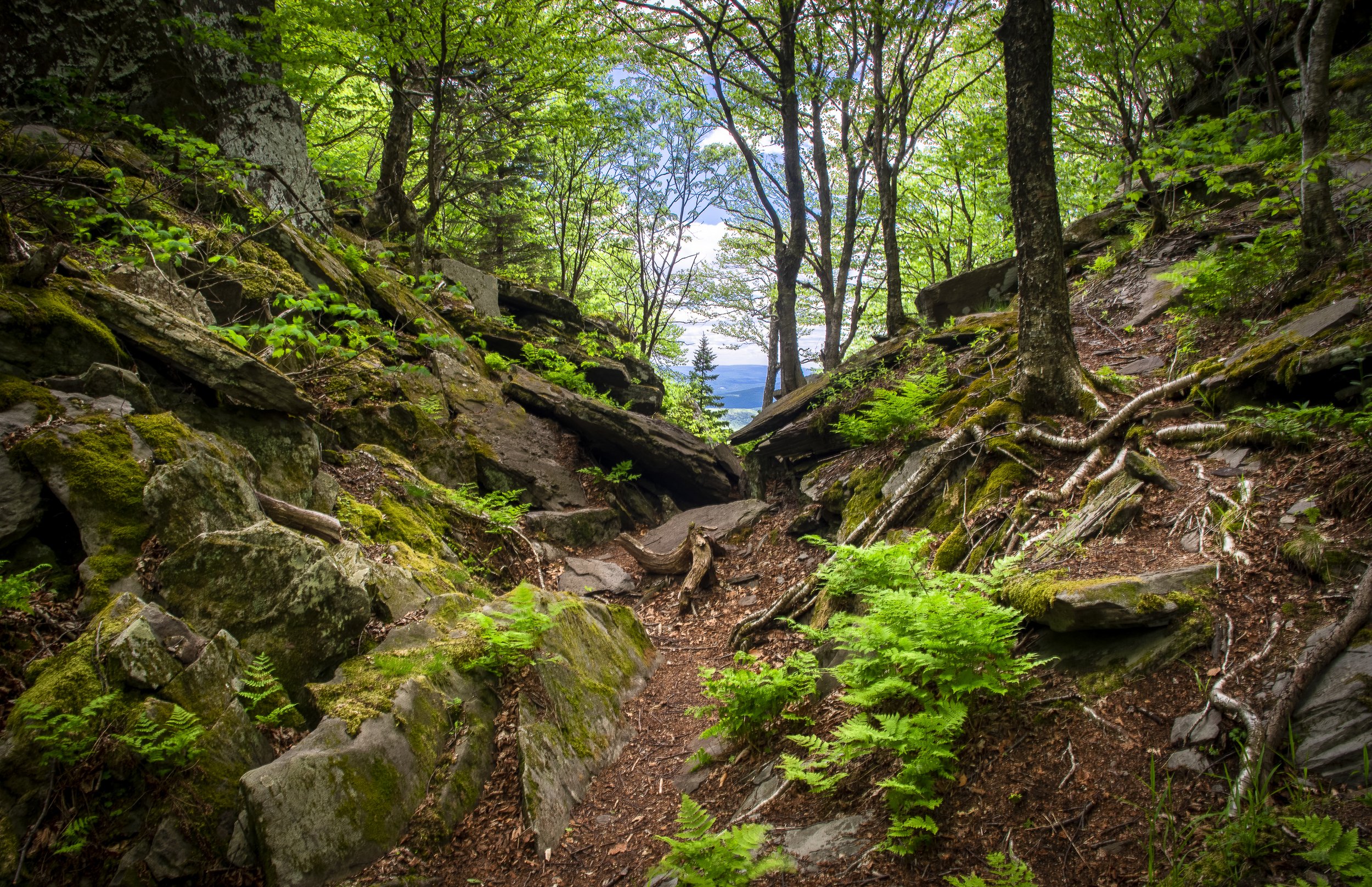 Hike for the Catskills — Catskill Center 