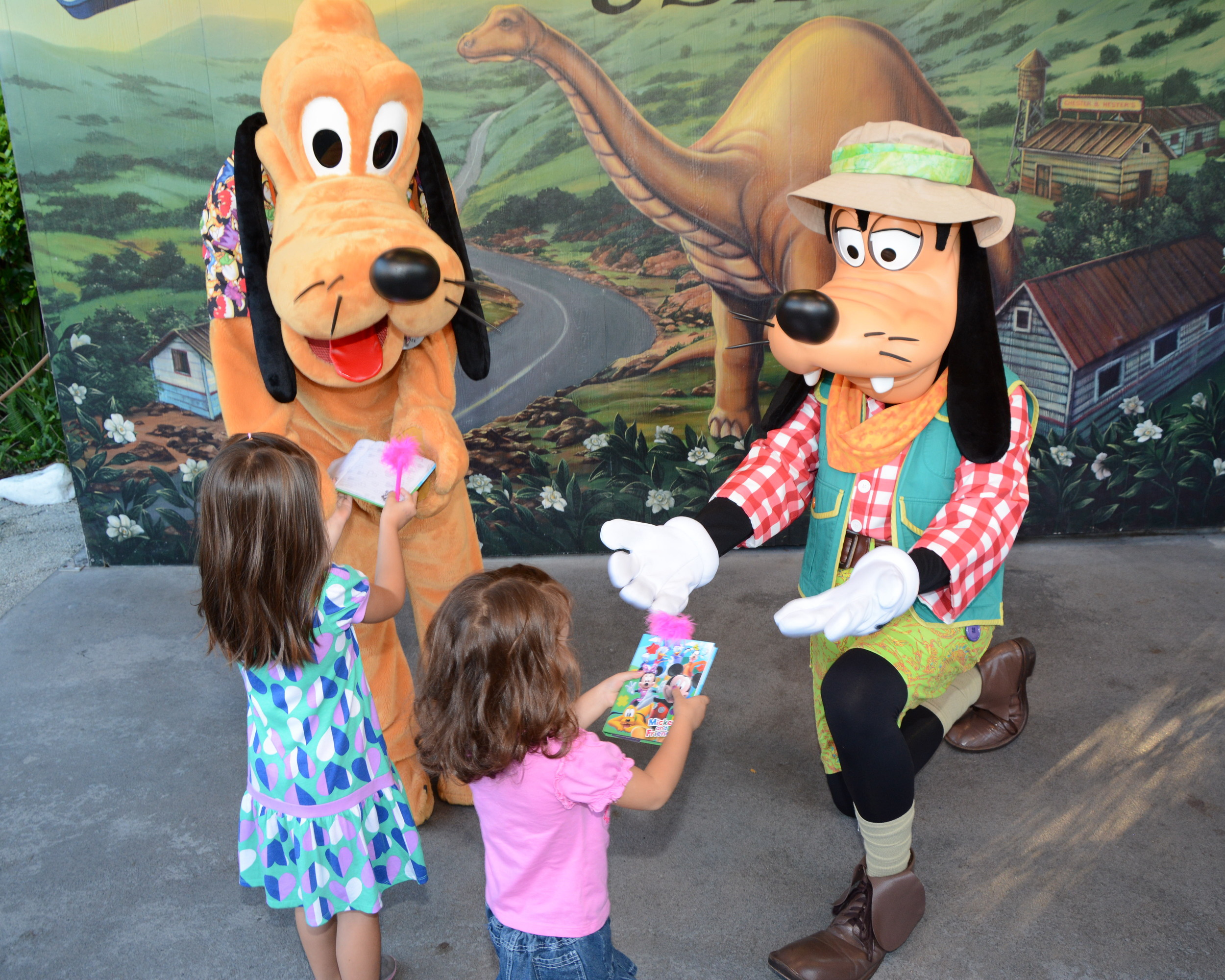 wdw2014285130613899_7073618499.jpg