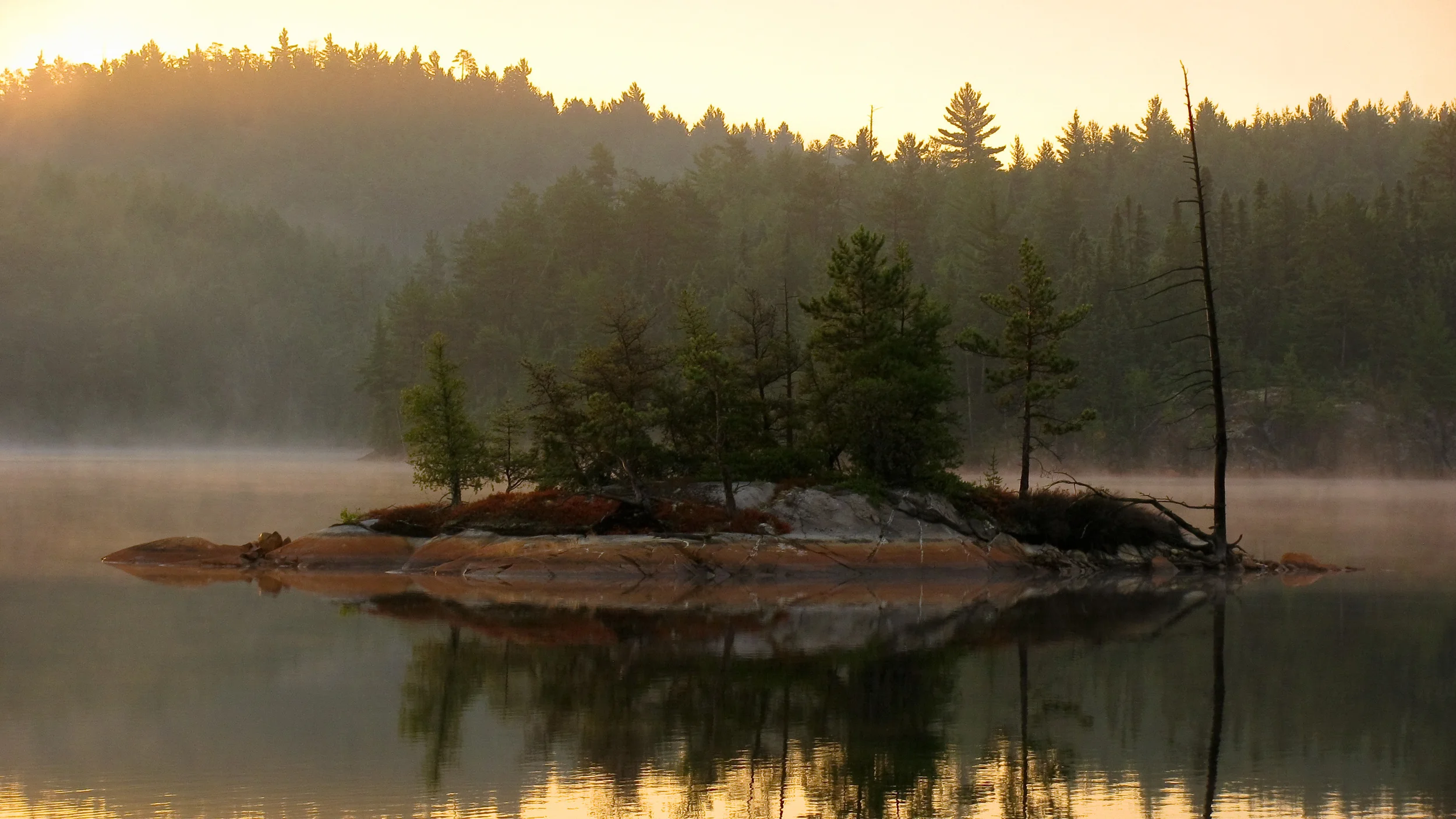 2014 Annual General Meeting