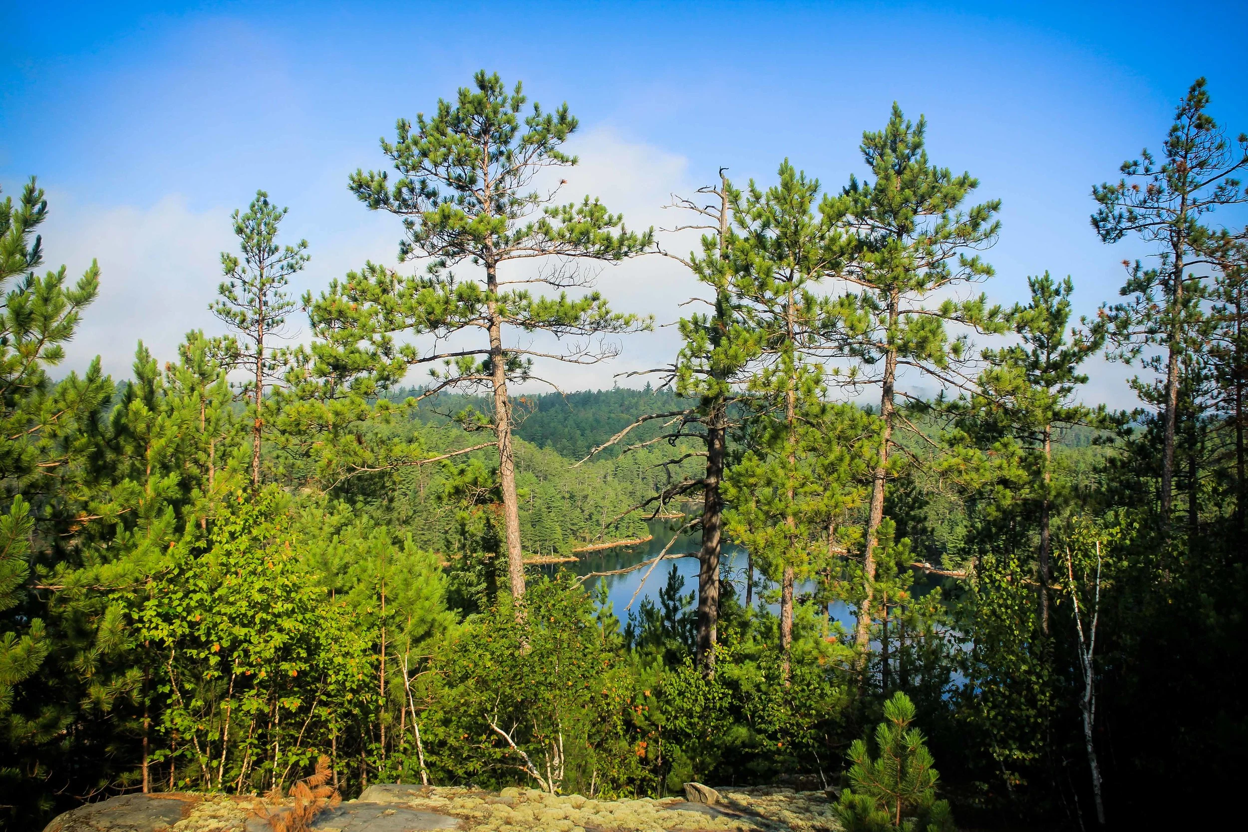 Wolf Lake Coalition to press Provincial Candidates and Leaders