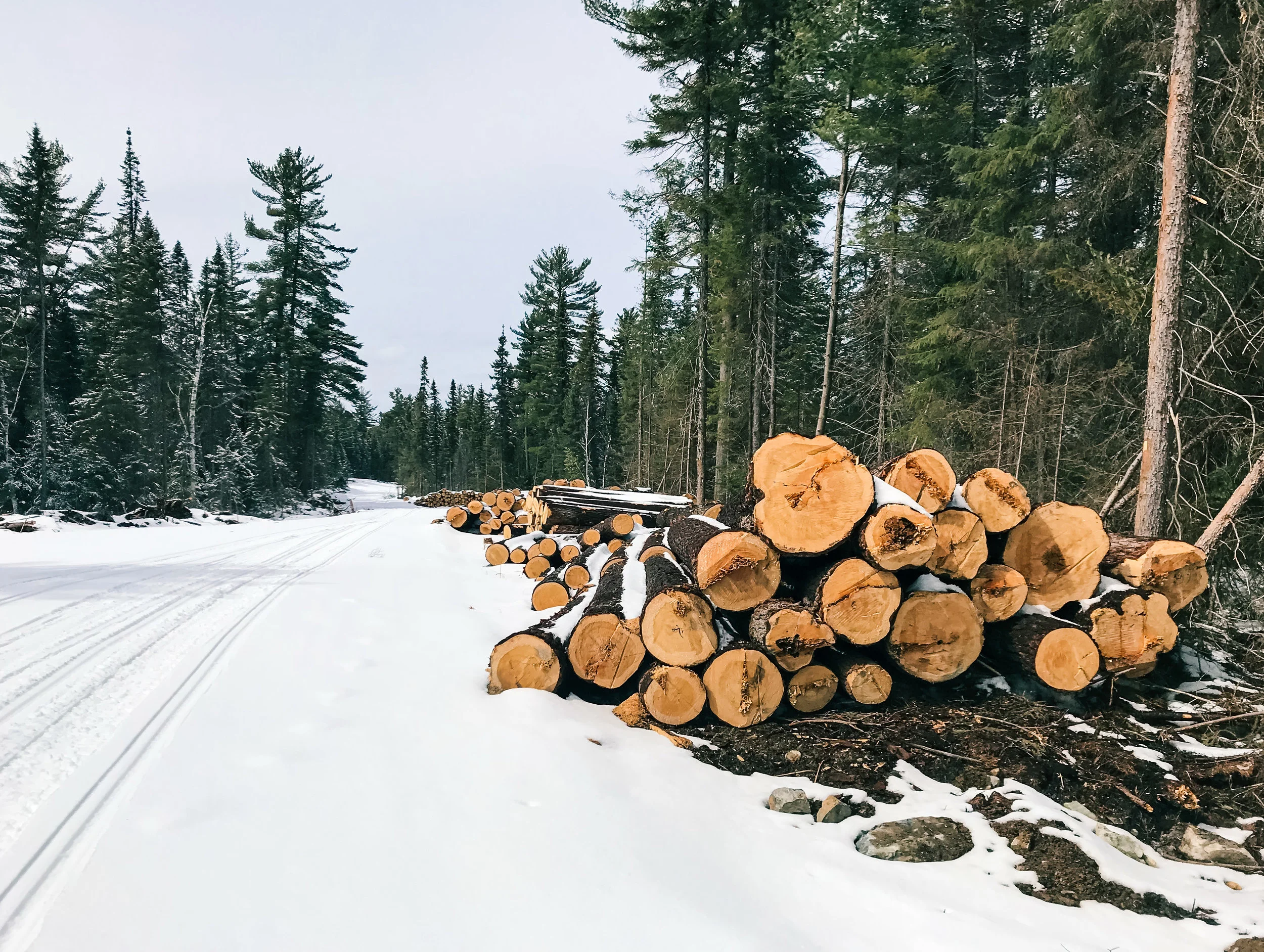Road Construction at Twinkle Lake, April 12, 2018.