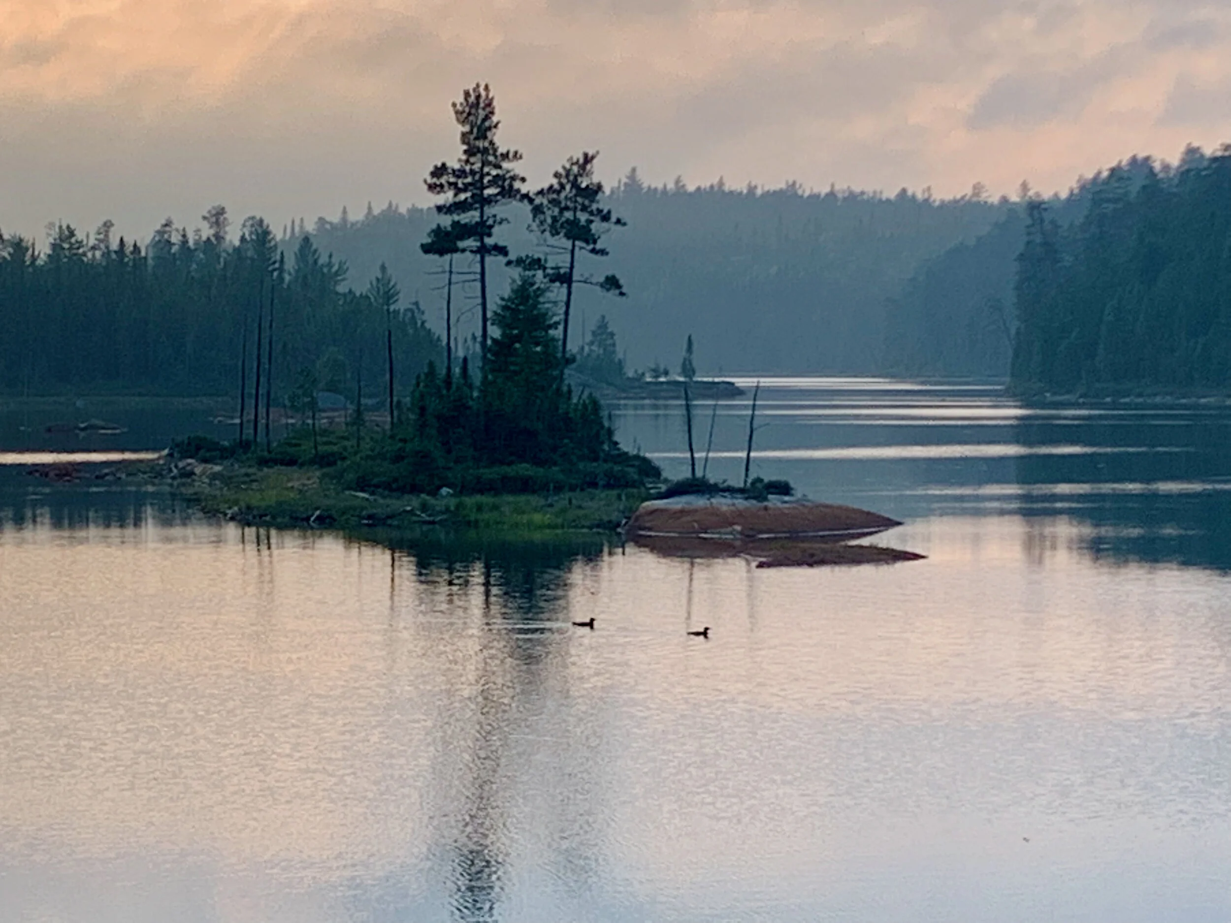 Friends of Temagami - Annual General Meeting 2021